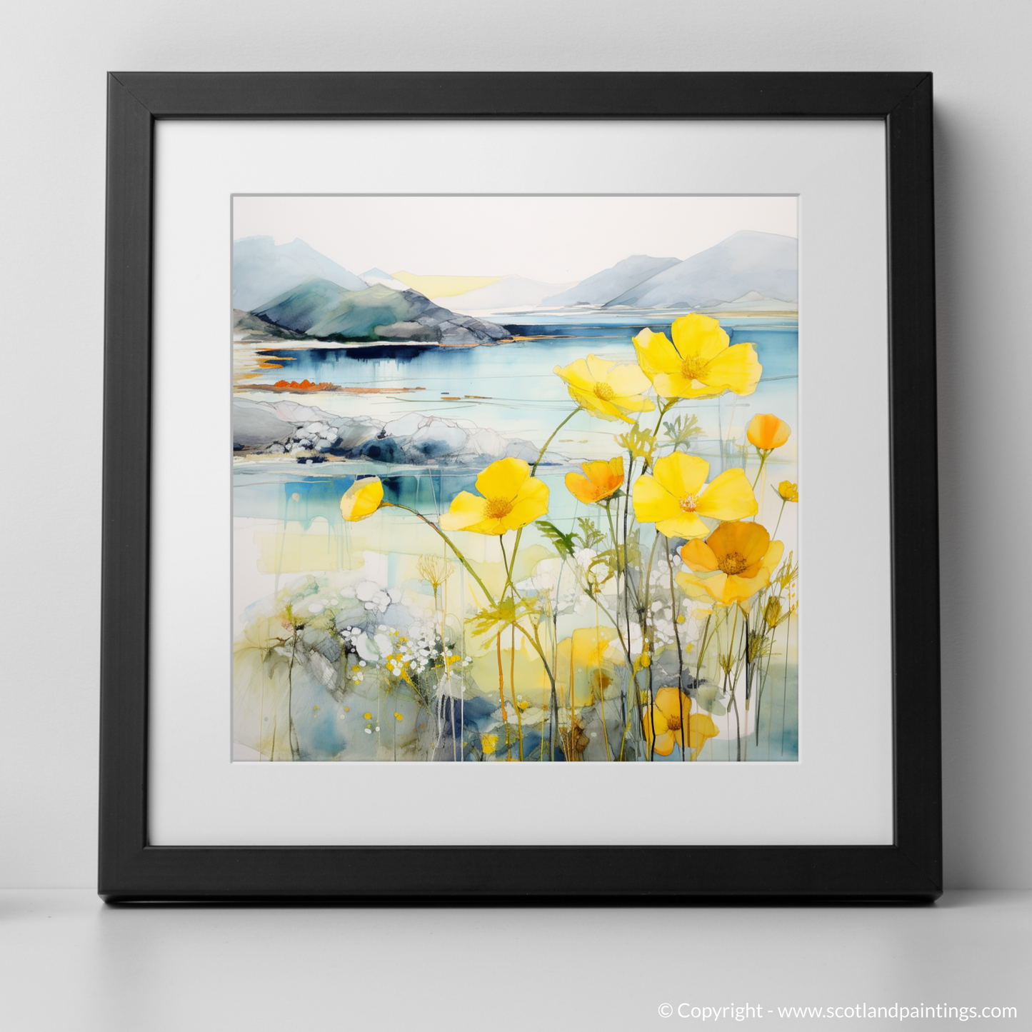 Primrose Whispers by the Argyll Coast