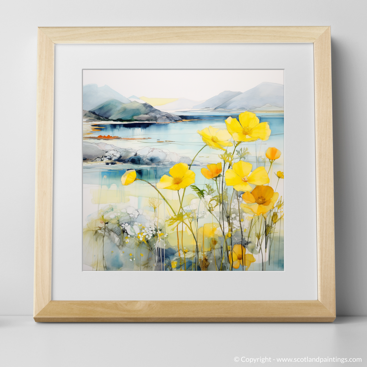 Primrose Whispers by the Argyll Coast