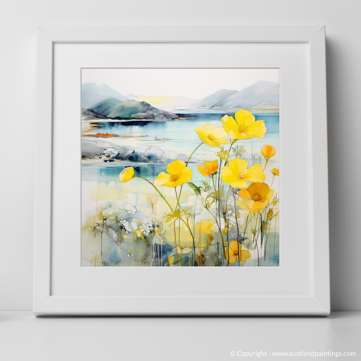 Primrose Whispers by the Argyll Coast