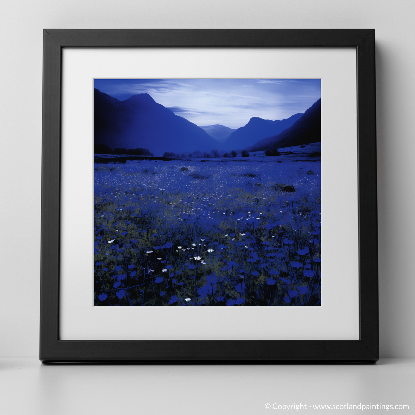 Dawn's Serenity in Glencoe Meadow