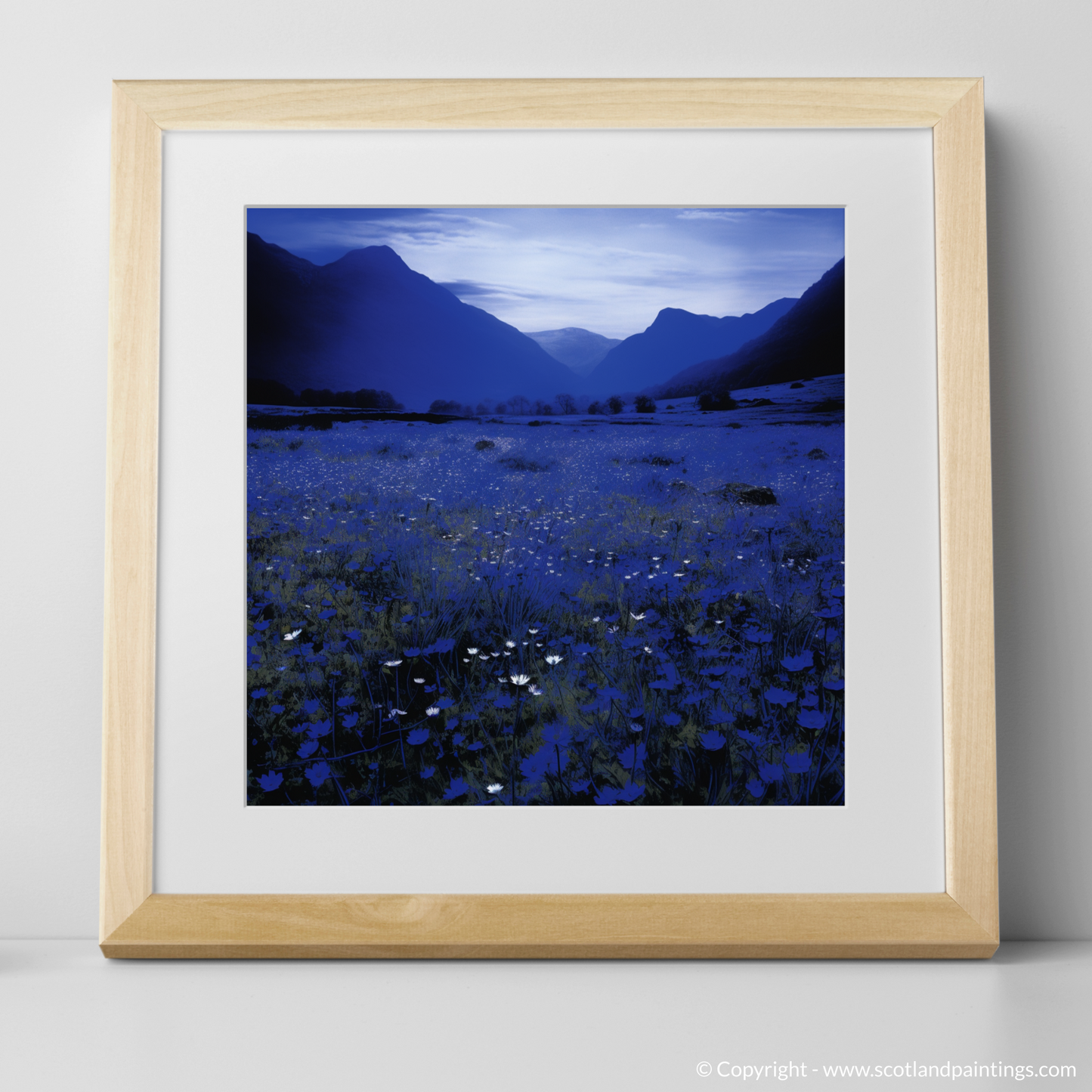 Dawn's Serenity in Glencoe Meadow