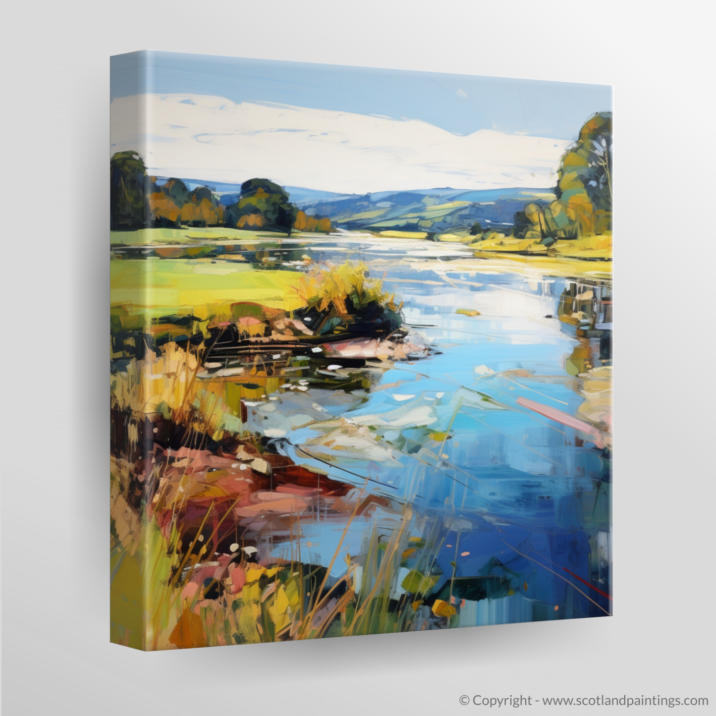 Canvas Print of River Nith, Dumfries and Galloway