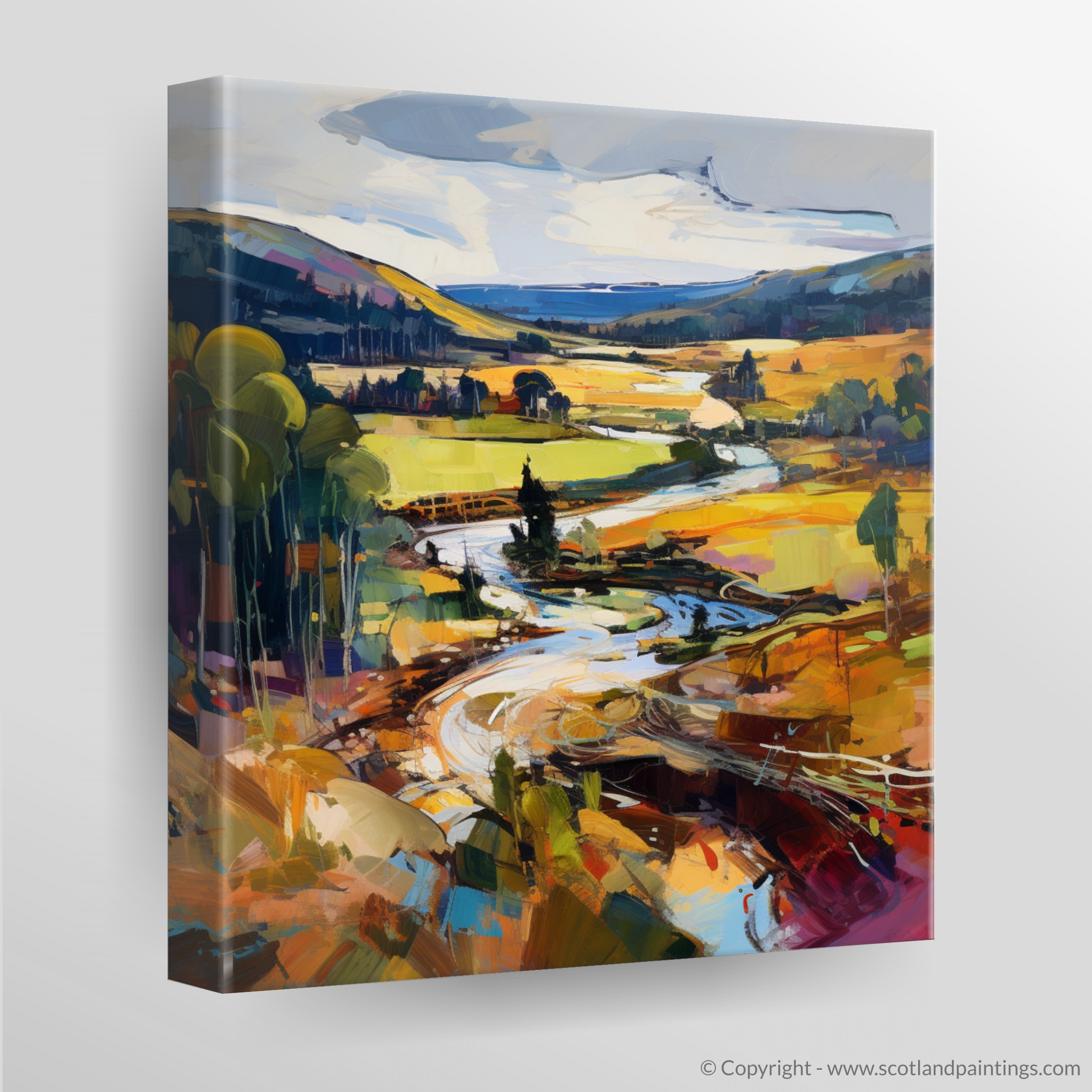 Canvas Print of Glen Tanar, Aberdeenshire