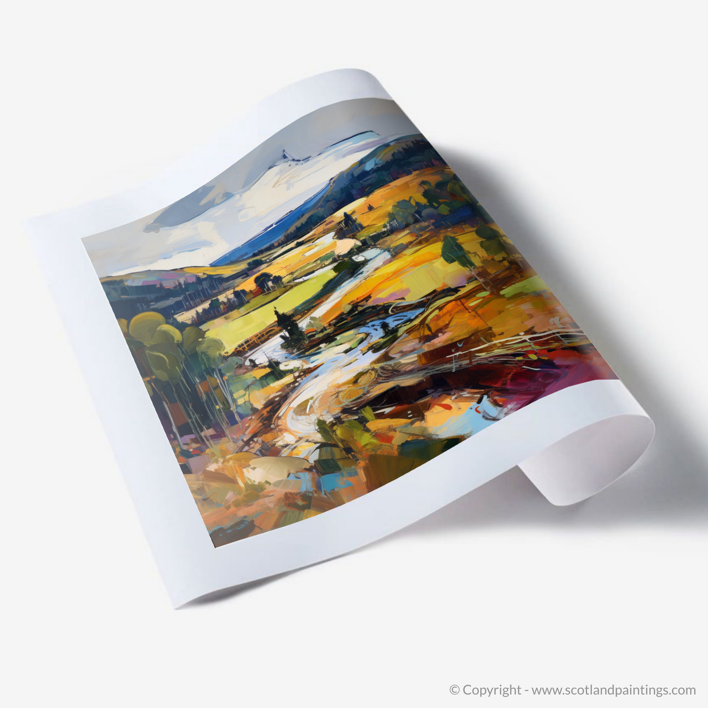 Art Print of Glen Tanar, Aberdeenshire