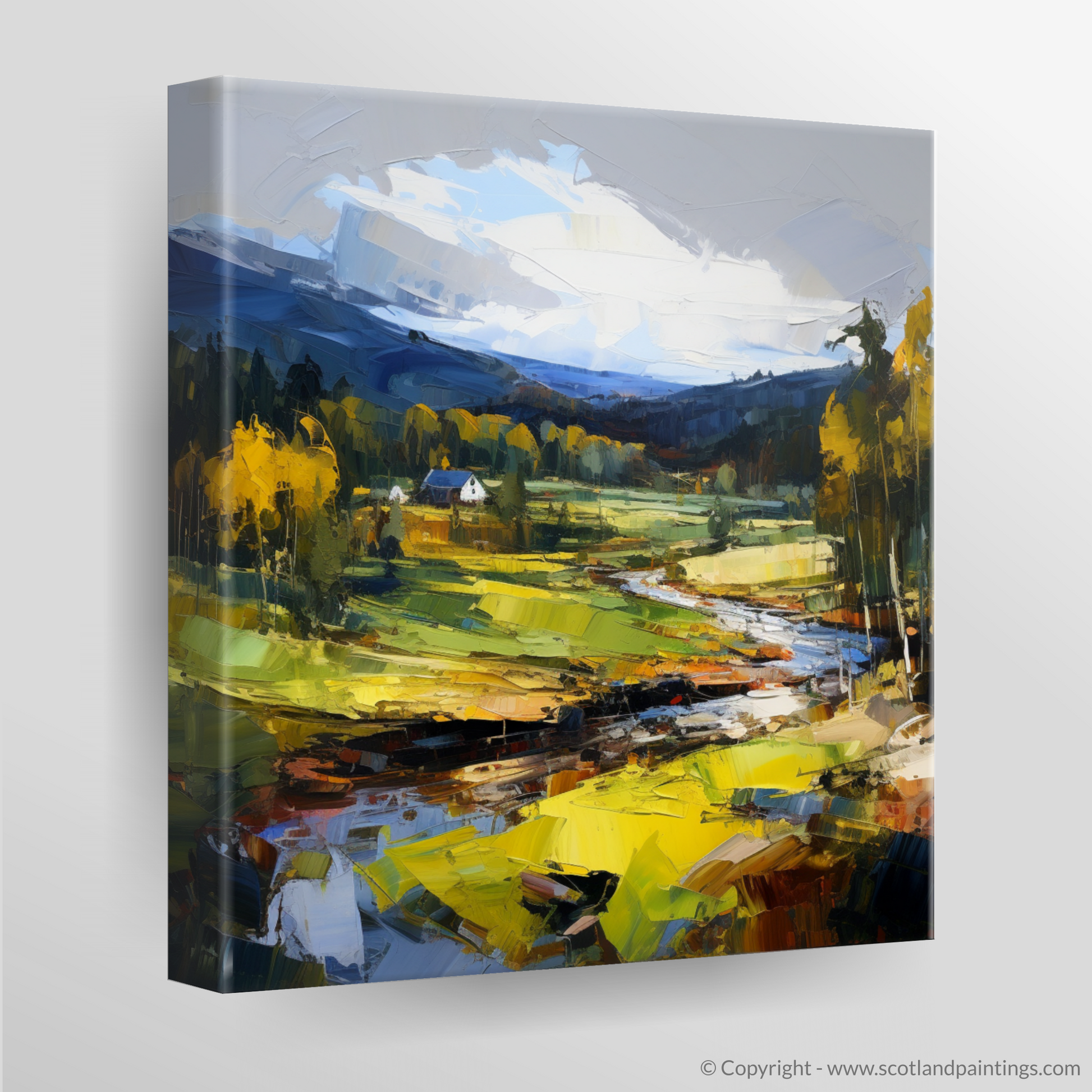 Canvas Print of Glen Tanar, Aberdeenshire