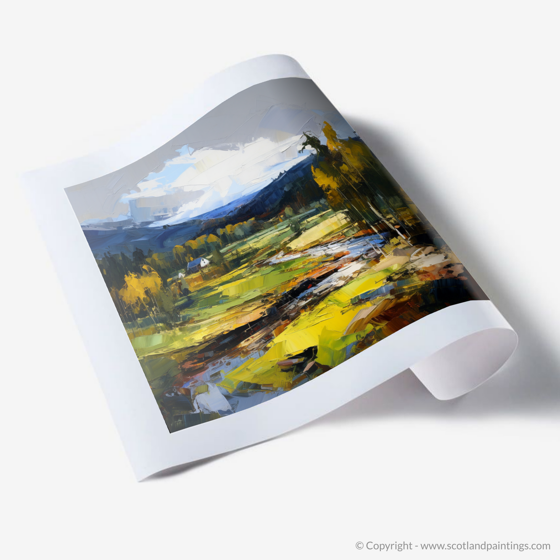 Art Print of Glen Tanar, Aberdeenshire