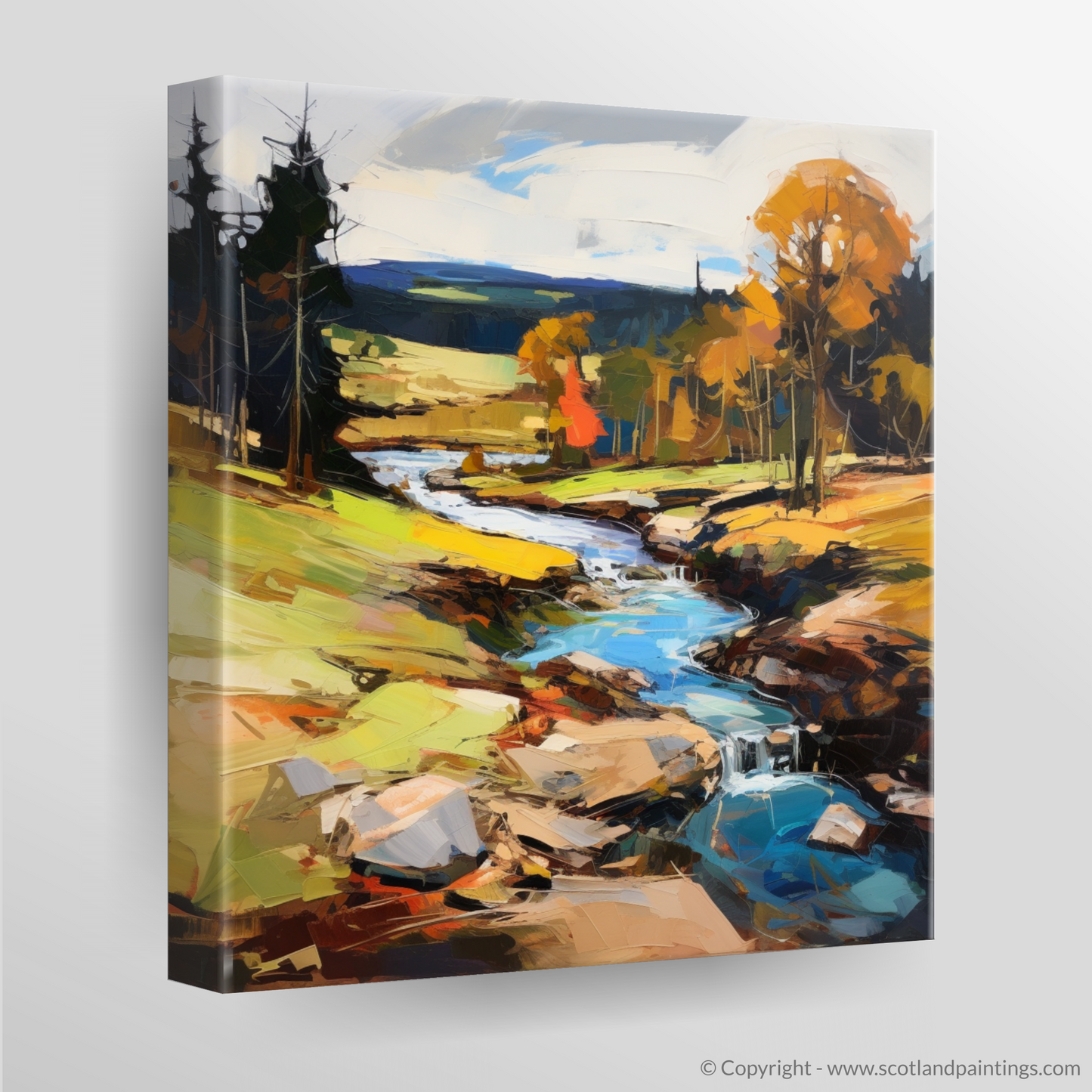 Canvas Print of Glen Tanar, Aberdeenshire