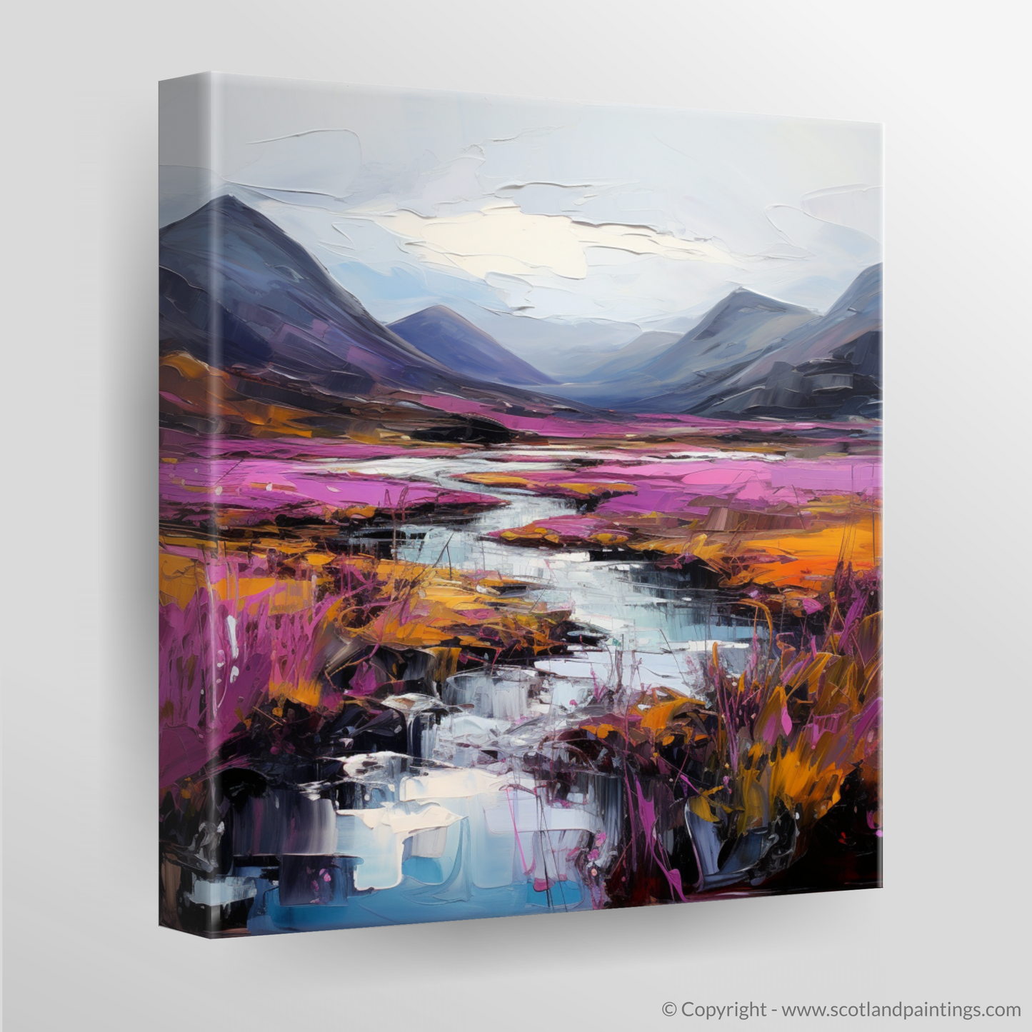 Canvas Print of Purple heather in Glencoe