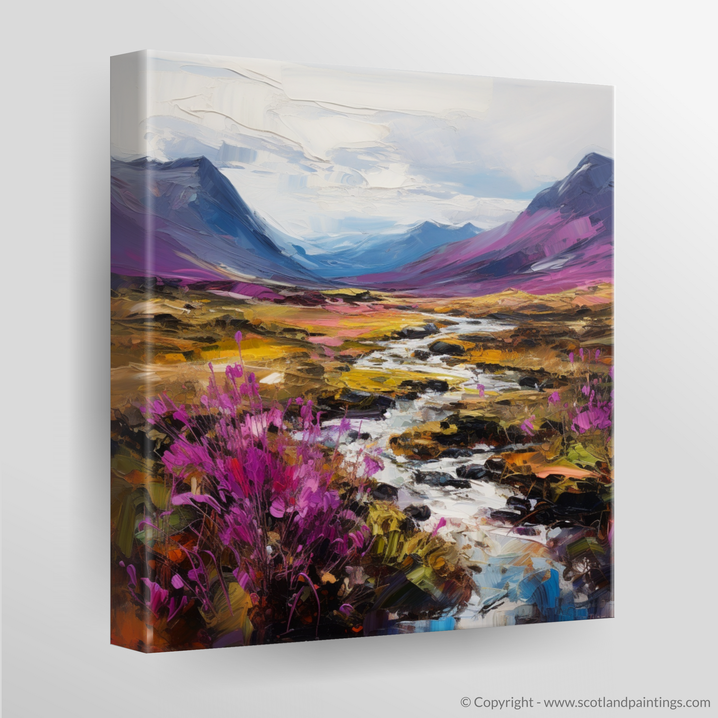 Canvas Print of Purple heather in Glencoe