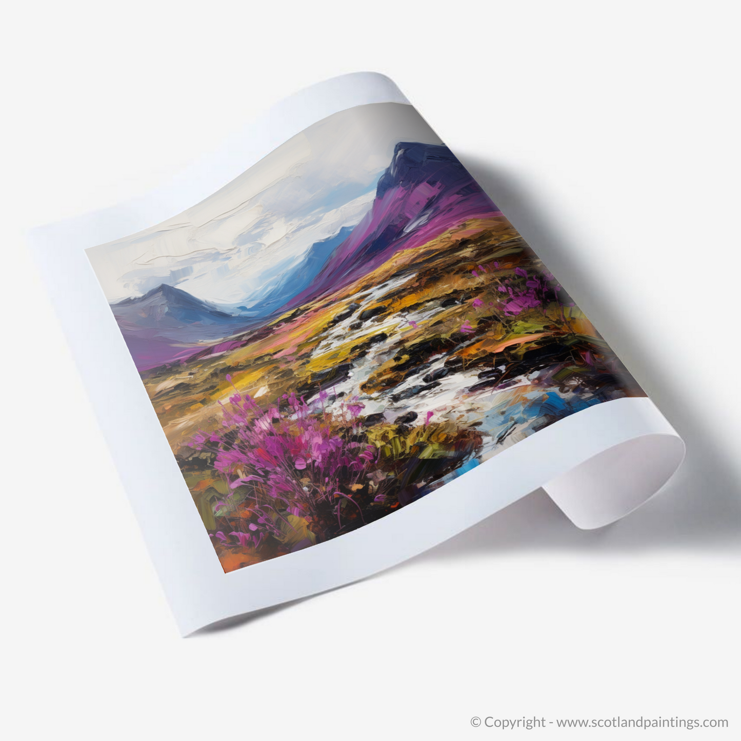 Art Print of Purple heather in Glencoe