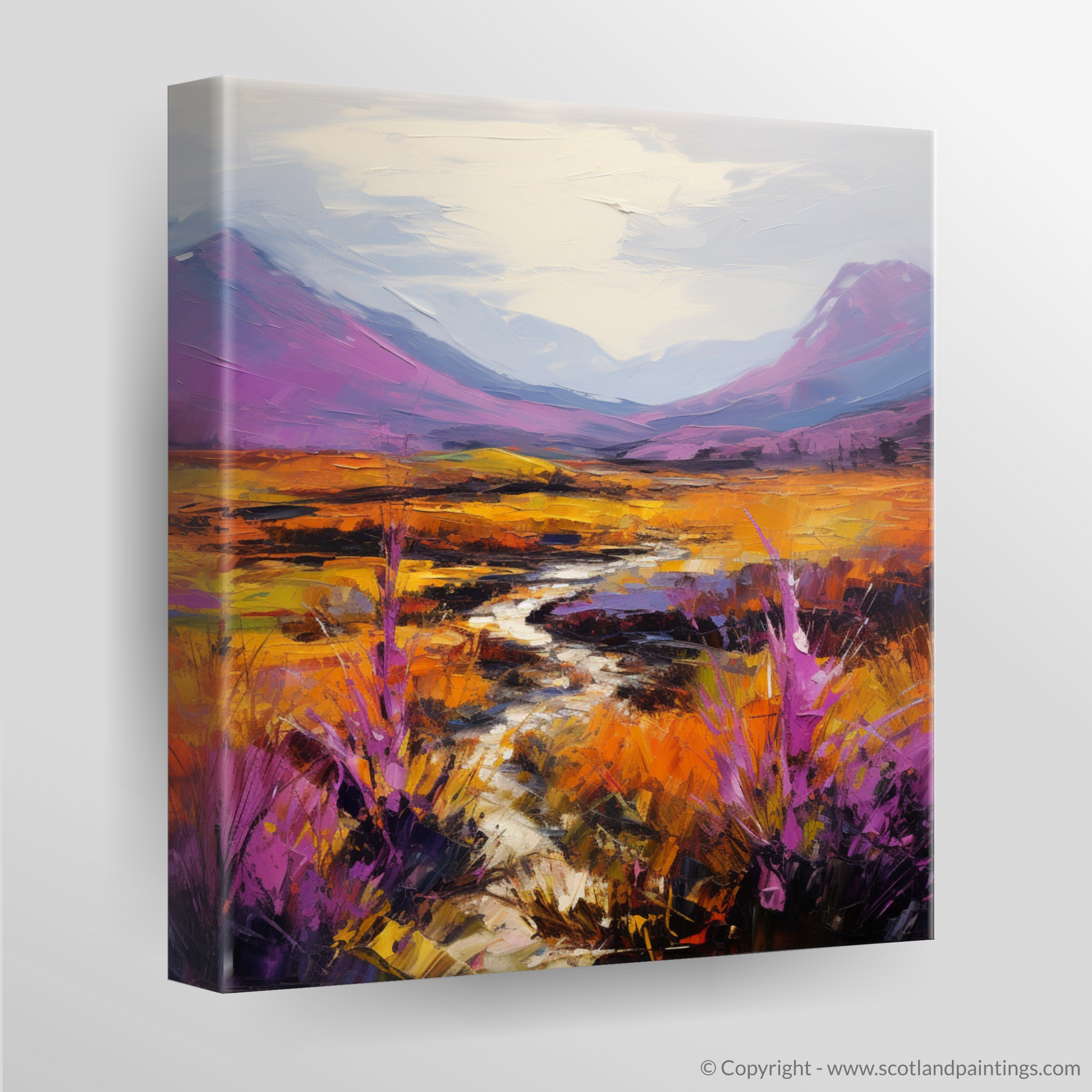 Canvas Print of Purple heather in Glencoe
