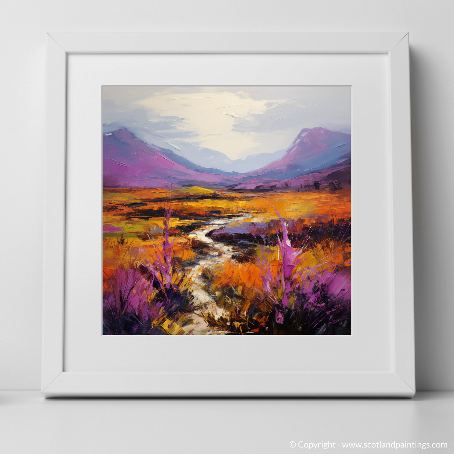 Art Print of Purple heather in Glencoe with a white frame