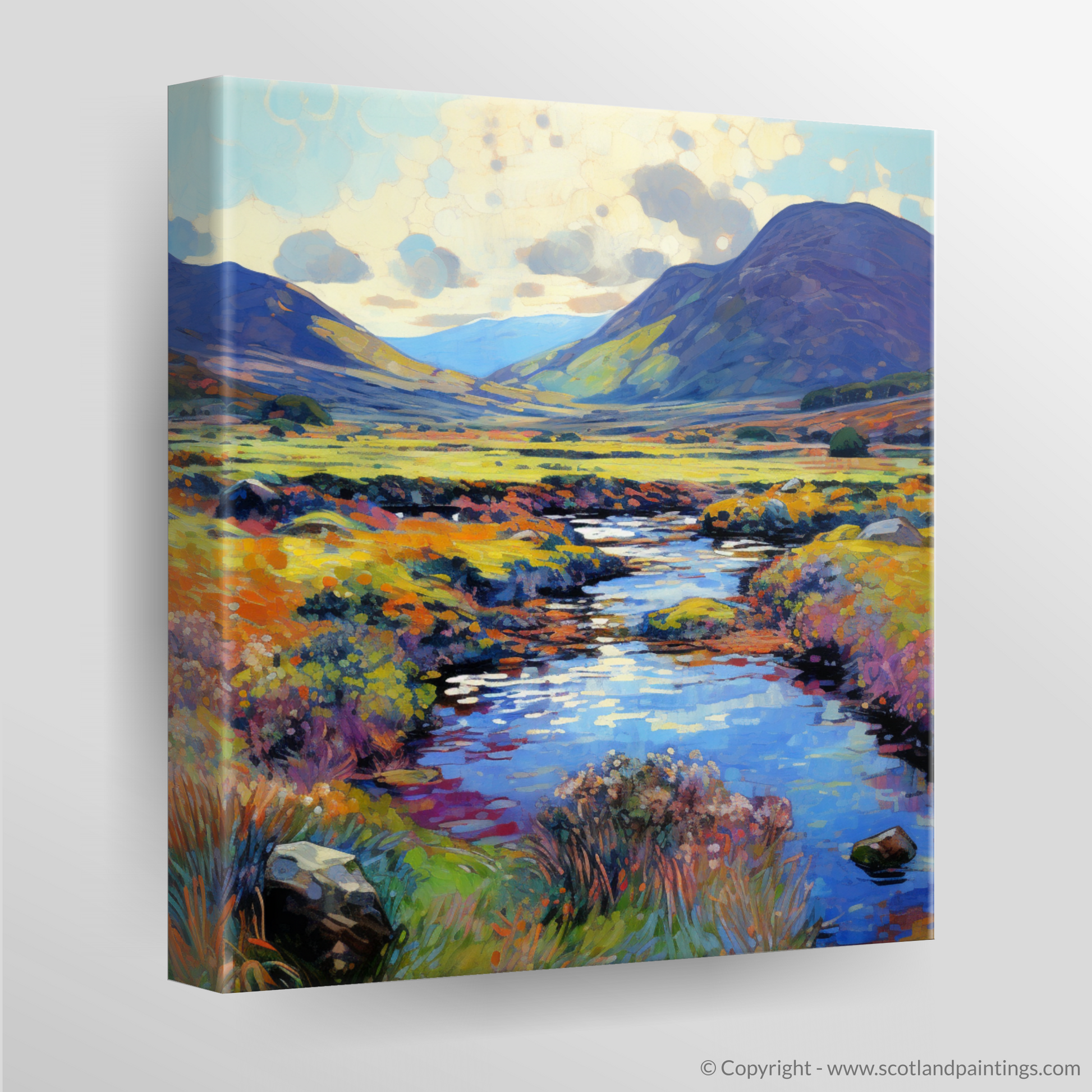 Canvas Print of Glen Rosa, Isle of Arran in summer