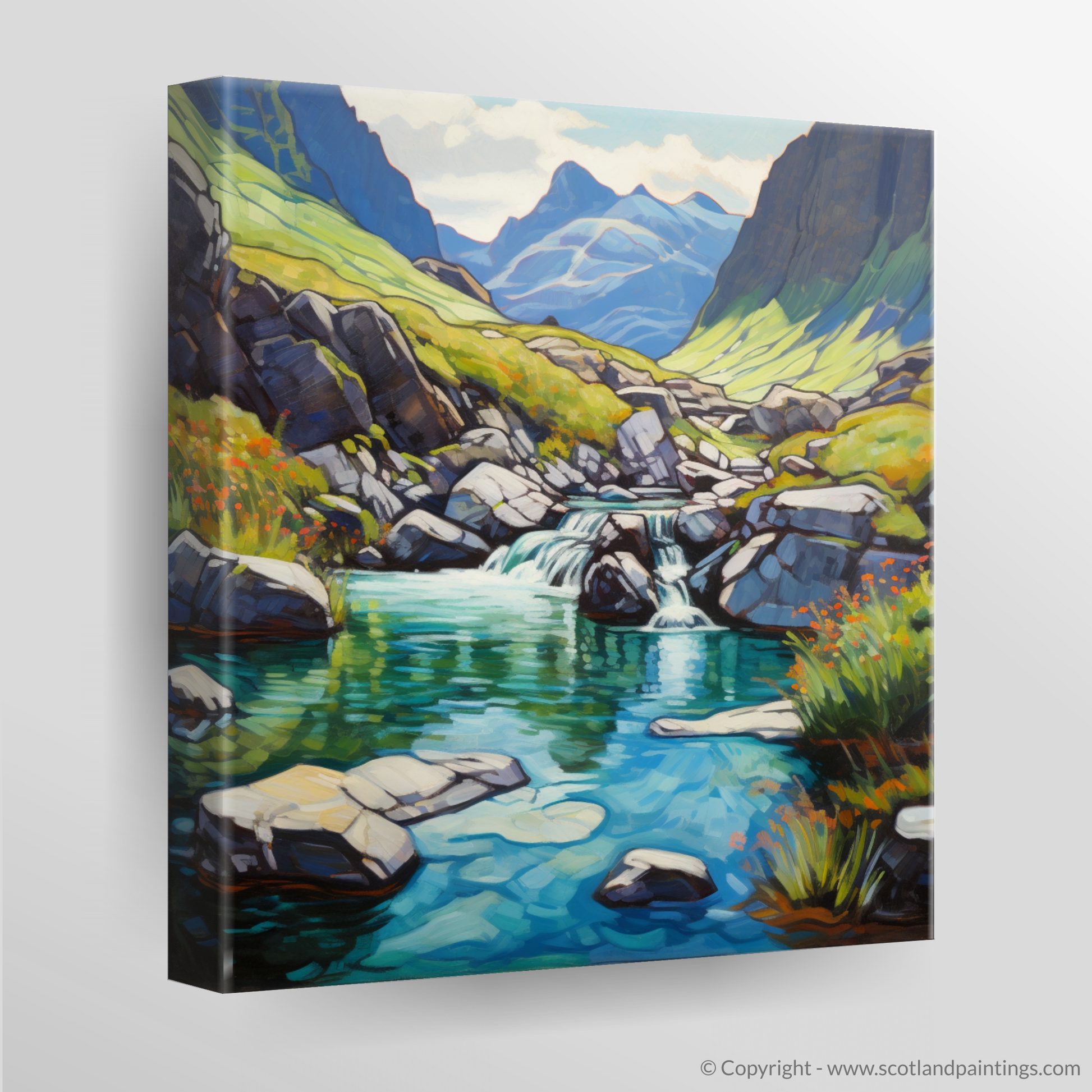 Canvas Print of The Fairy Pools, Isle of Skye in summer