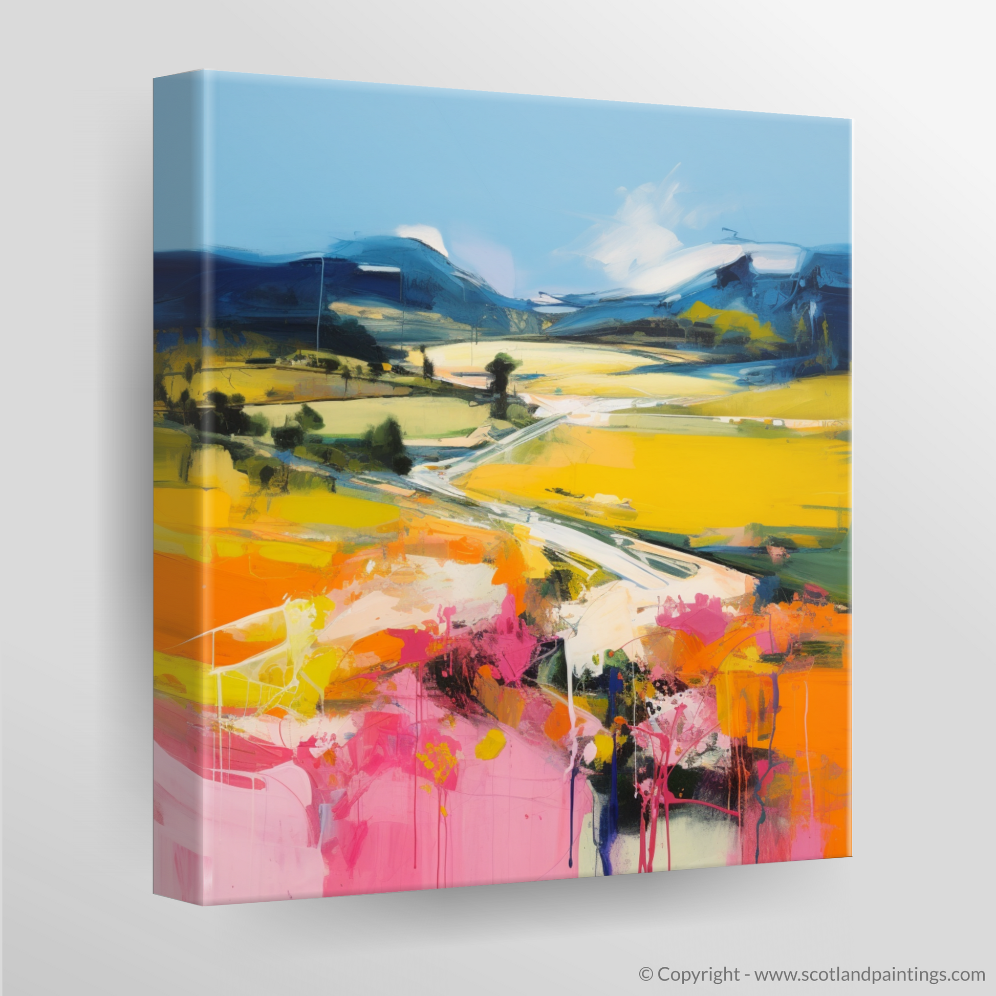 Canvas Print of Glen Esk, Angus in summer