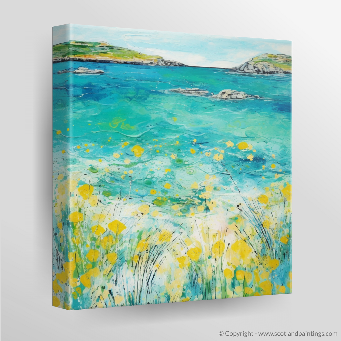 Canvas Print of Isle of Barra, Outer Hebrides in summer