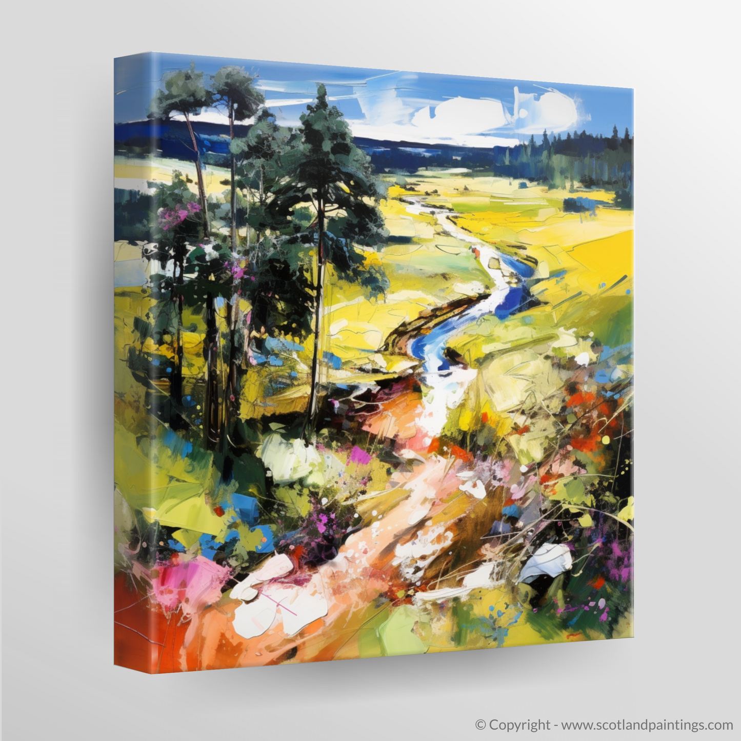 Canvas Print of Glen Tanar, Aberdeenshire in summer