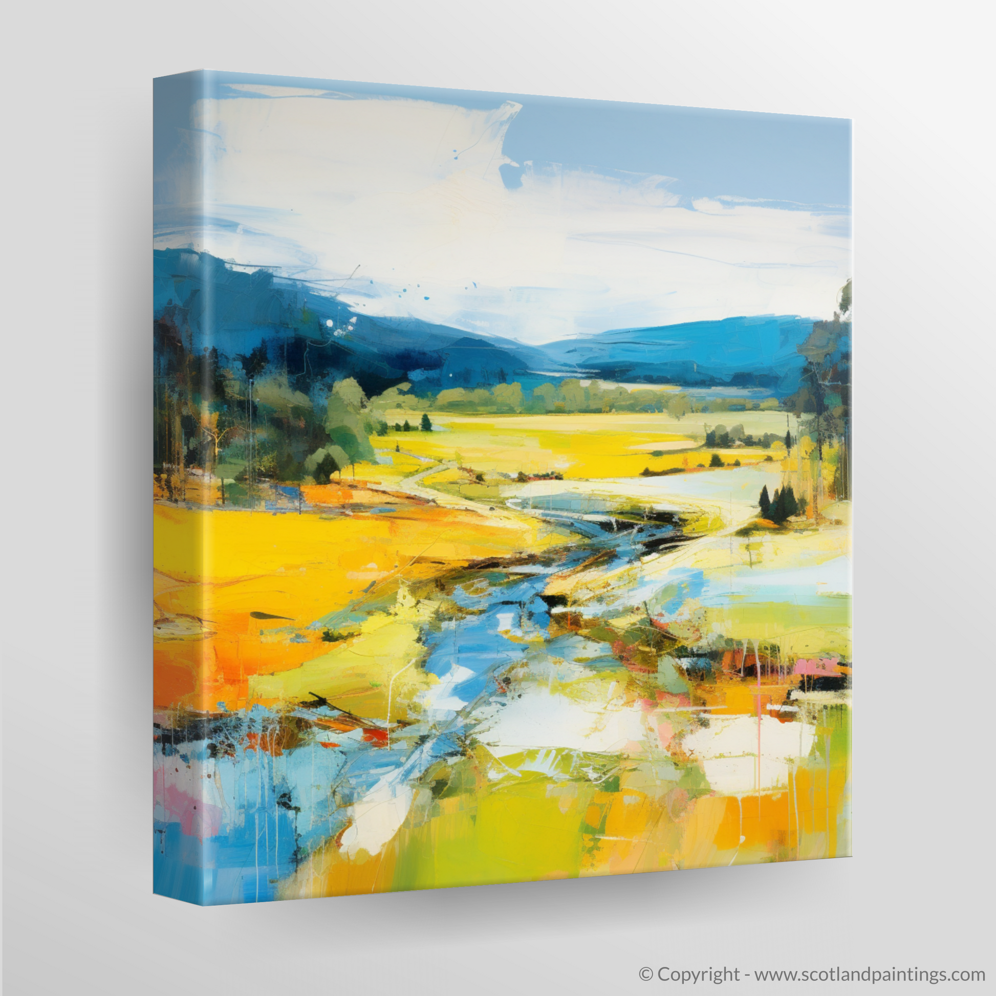 Canvas Print of Glen Tanar, Aberdeenshire in summer