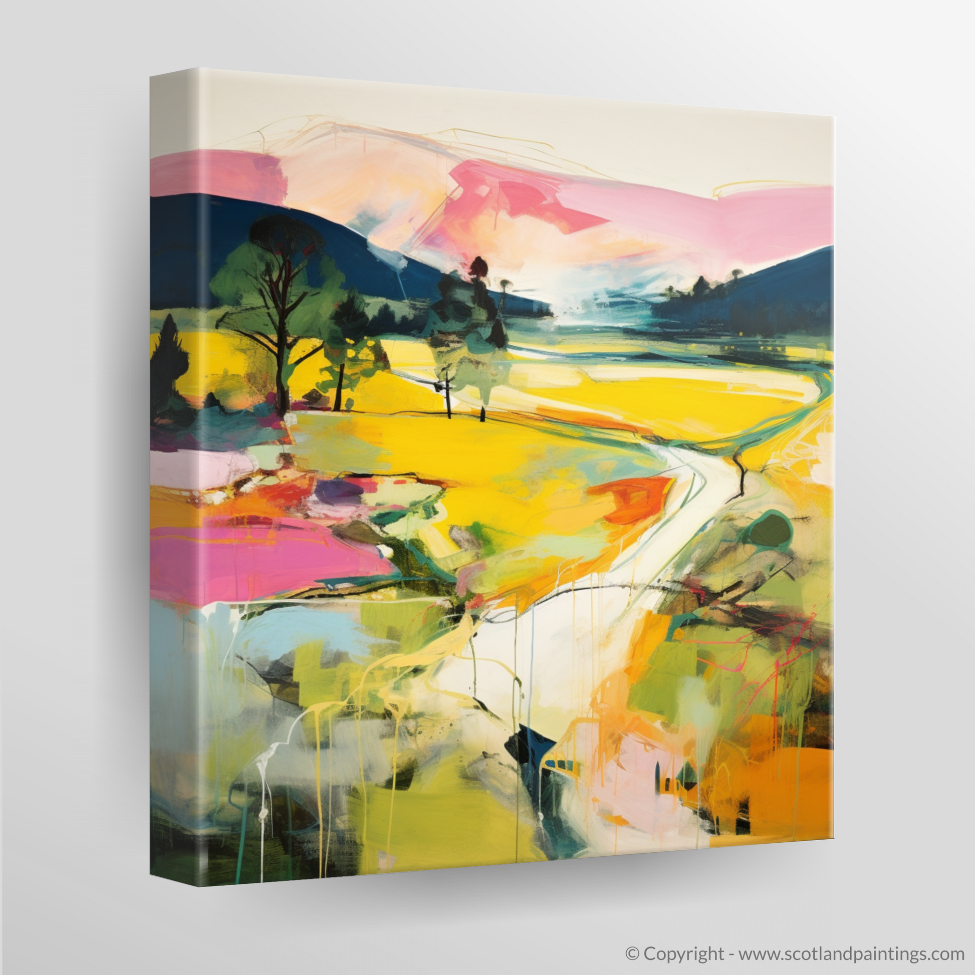 Canvas Print of Glen Tanar, Aberdeenshire in summer