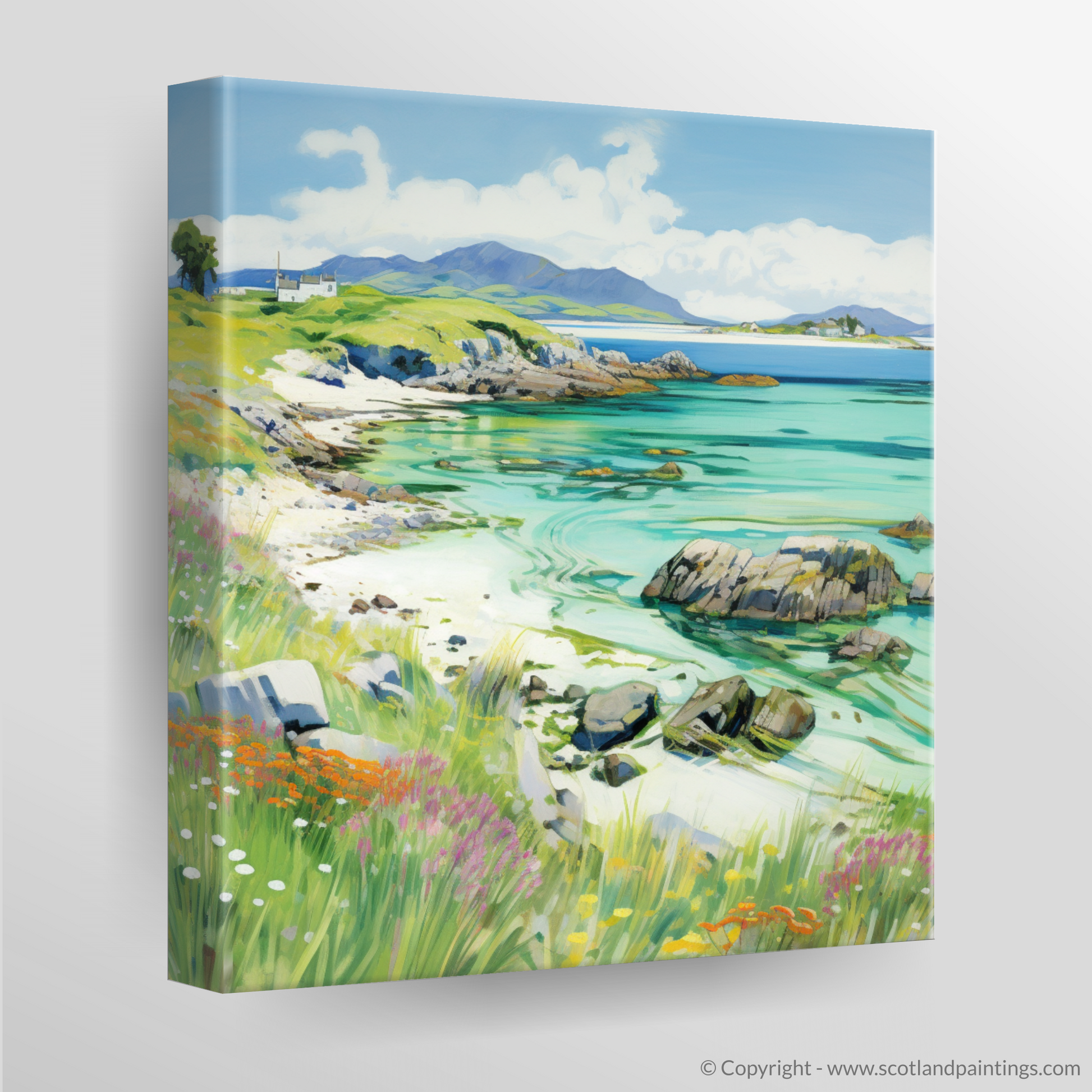 Canvas Print of Isle of Iona, Inner Hebrides in summer