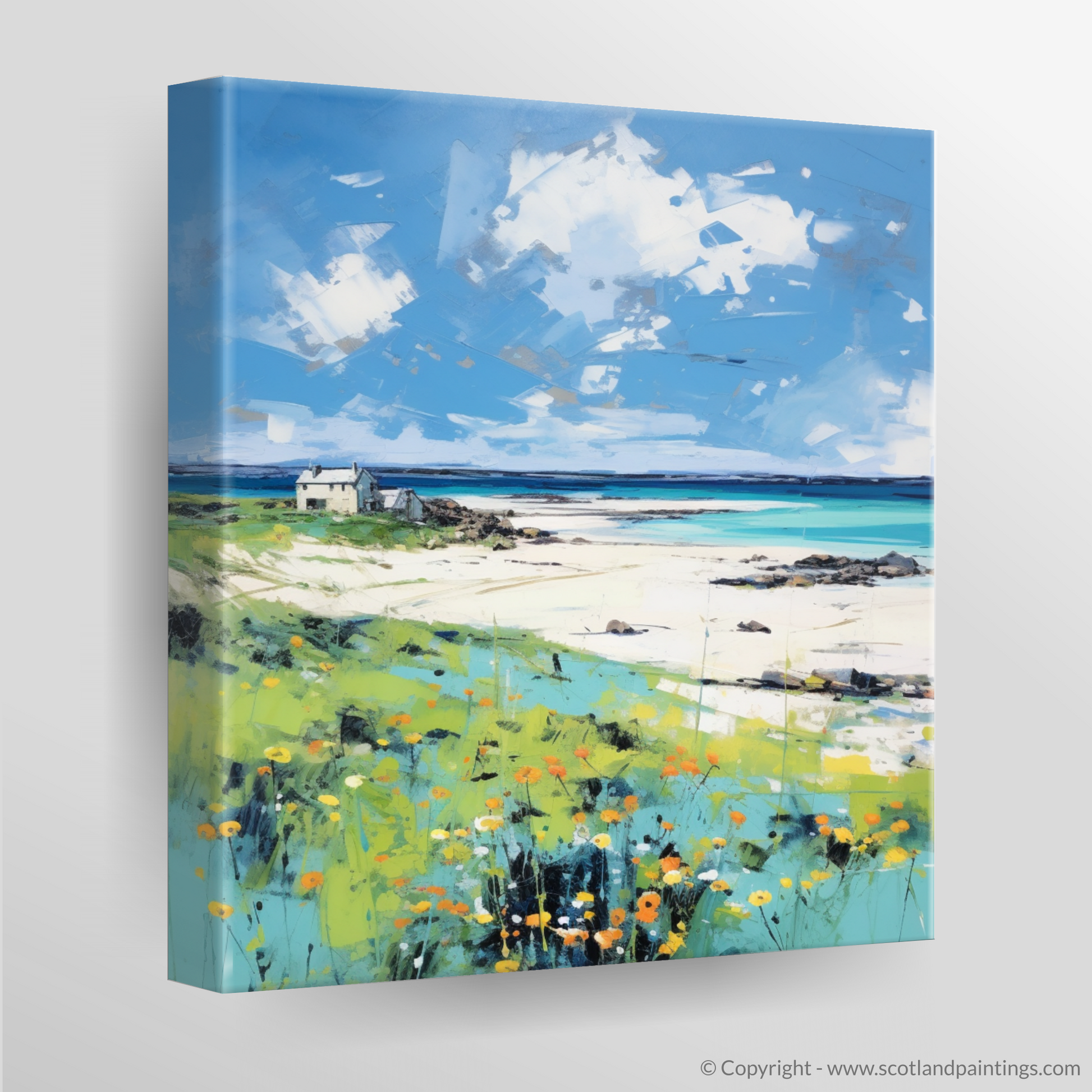 Canvas Print of Isle of Tiree, Inner Hebrides in summer