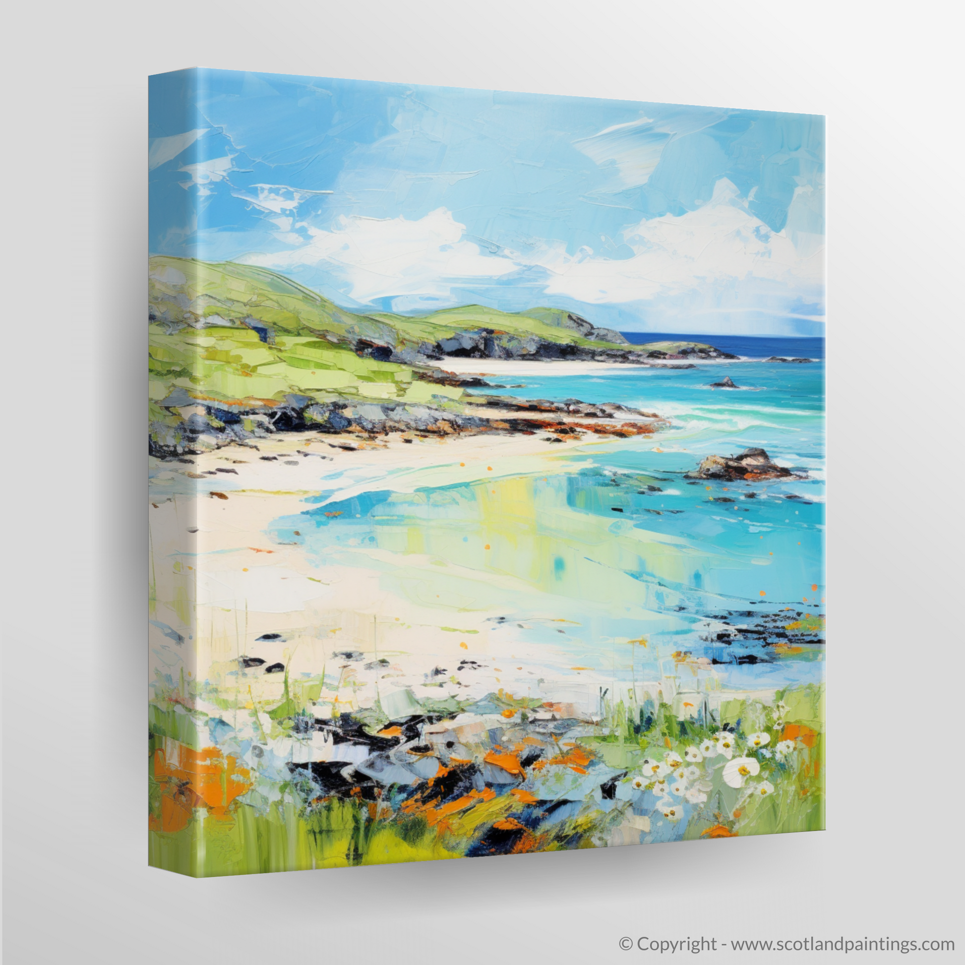 Canvas Print of Calgary Bay, Isle of Mull in summer