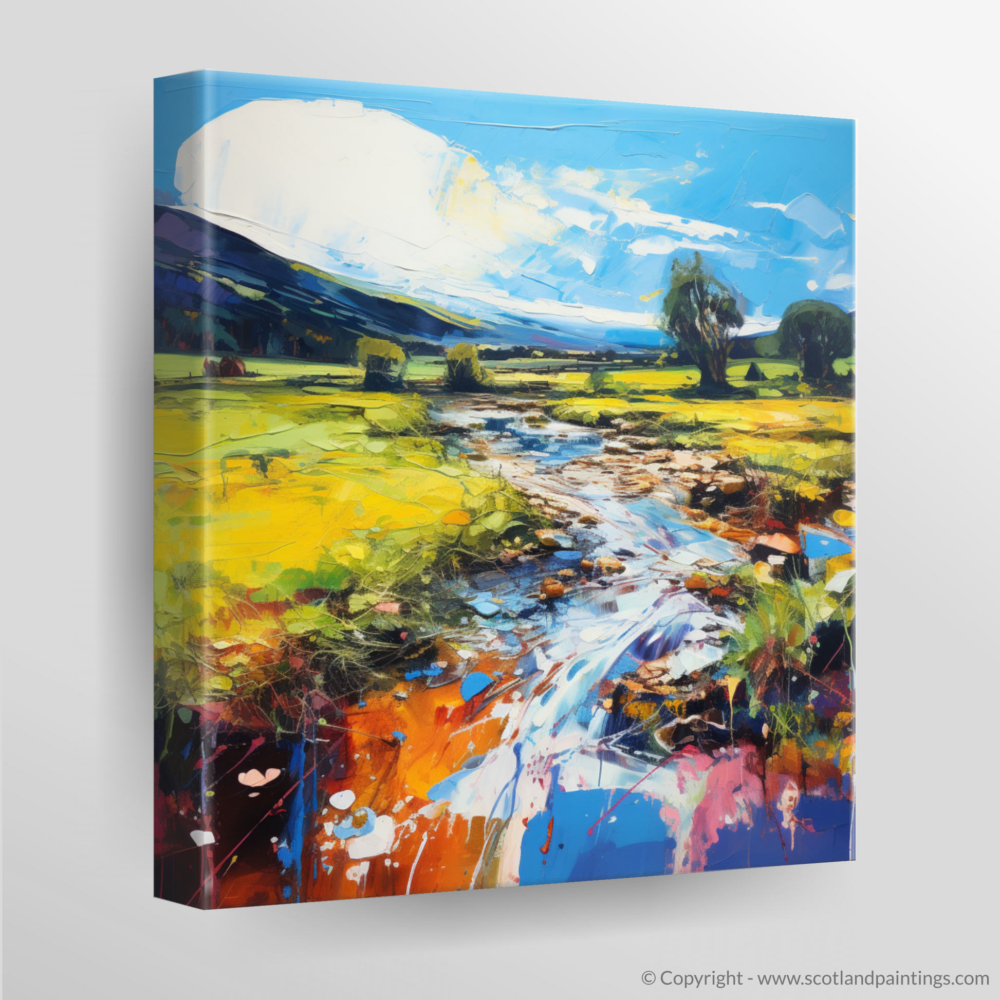 Canvas Print of Glen Esk, Angus in summer