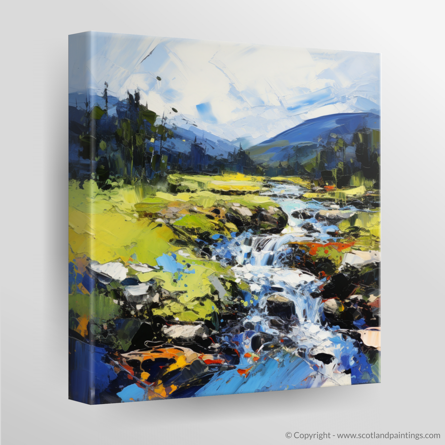 Canvas Print of Glen Esk, Angus in summer