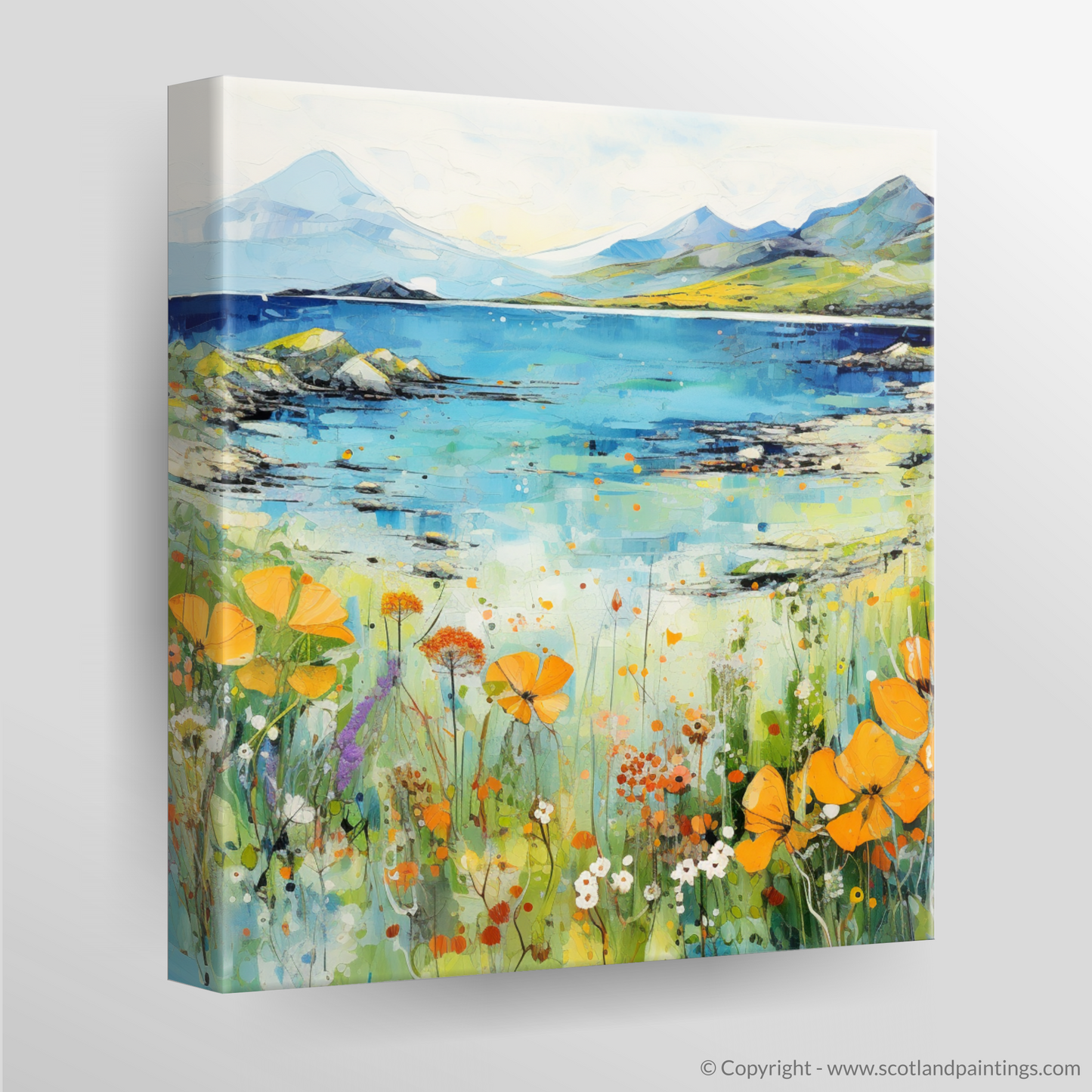 Canvas Print of Isle of Raasay, Inner Hebrides in summer