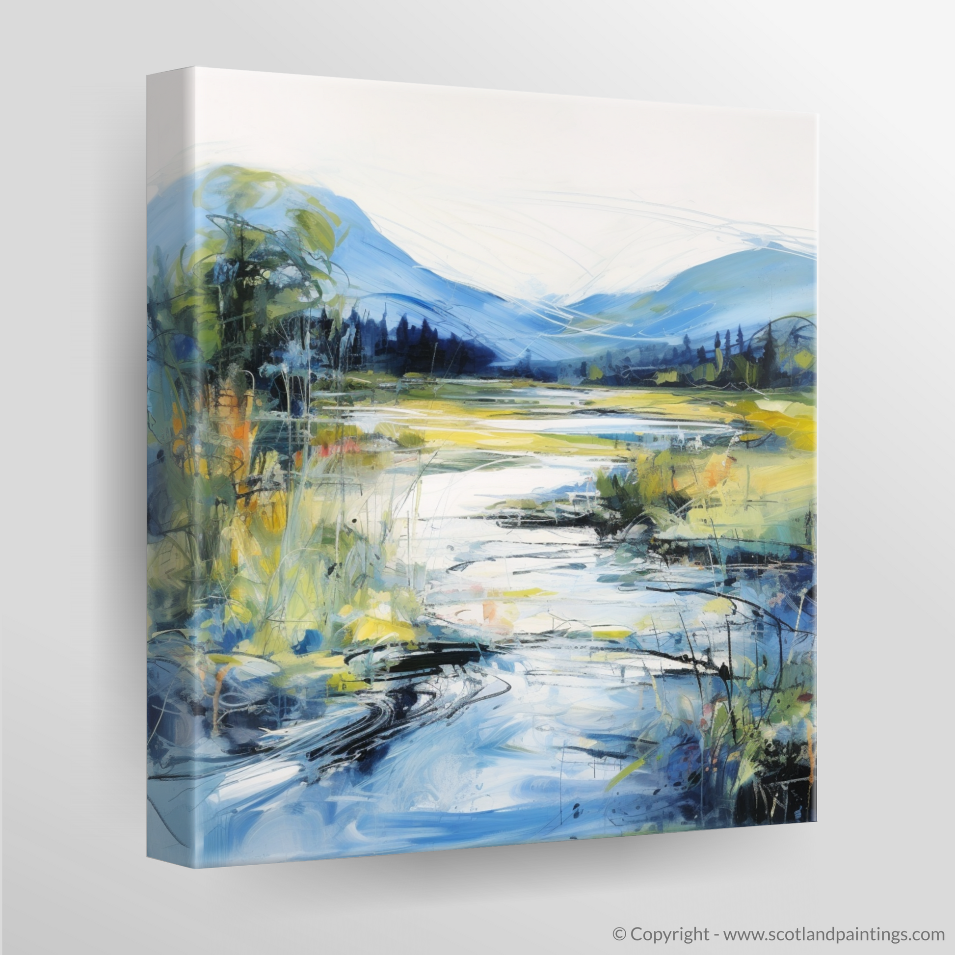 Canvas Print of River Orchy, Argyll and Bute in summer