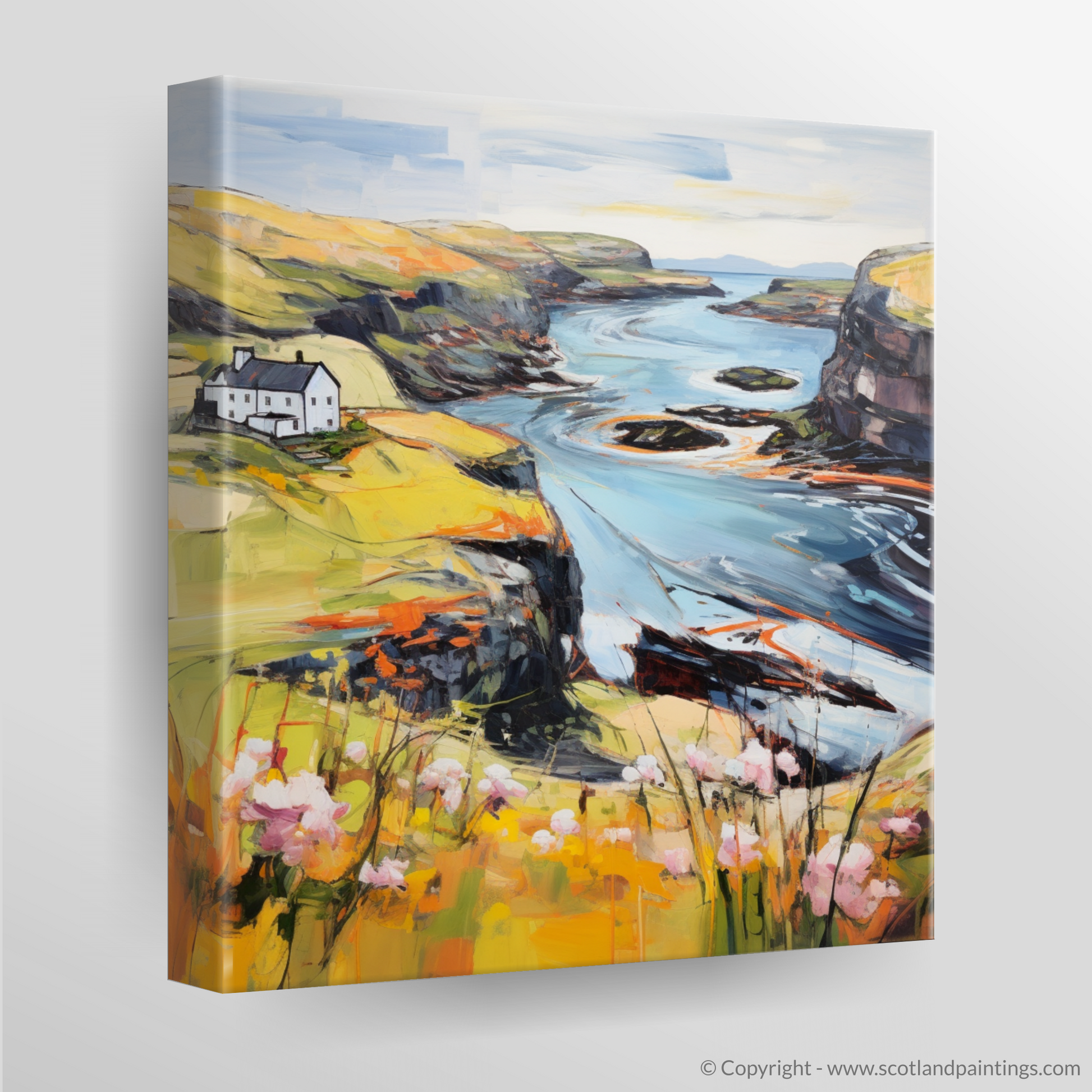 Canvas Print of Shetland, North of mainland Scotland in summer