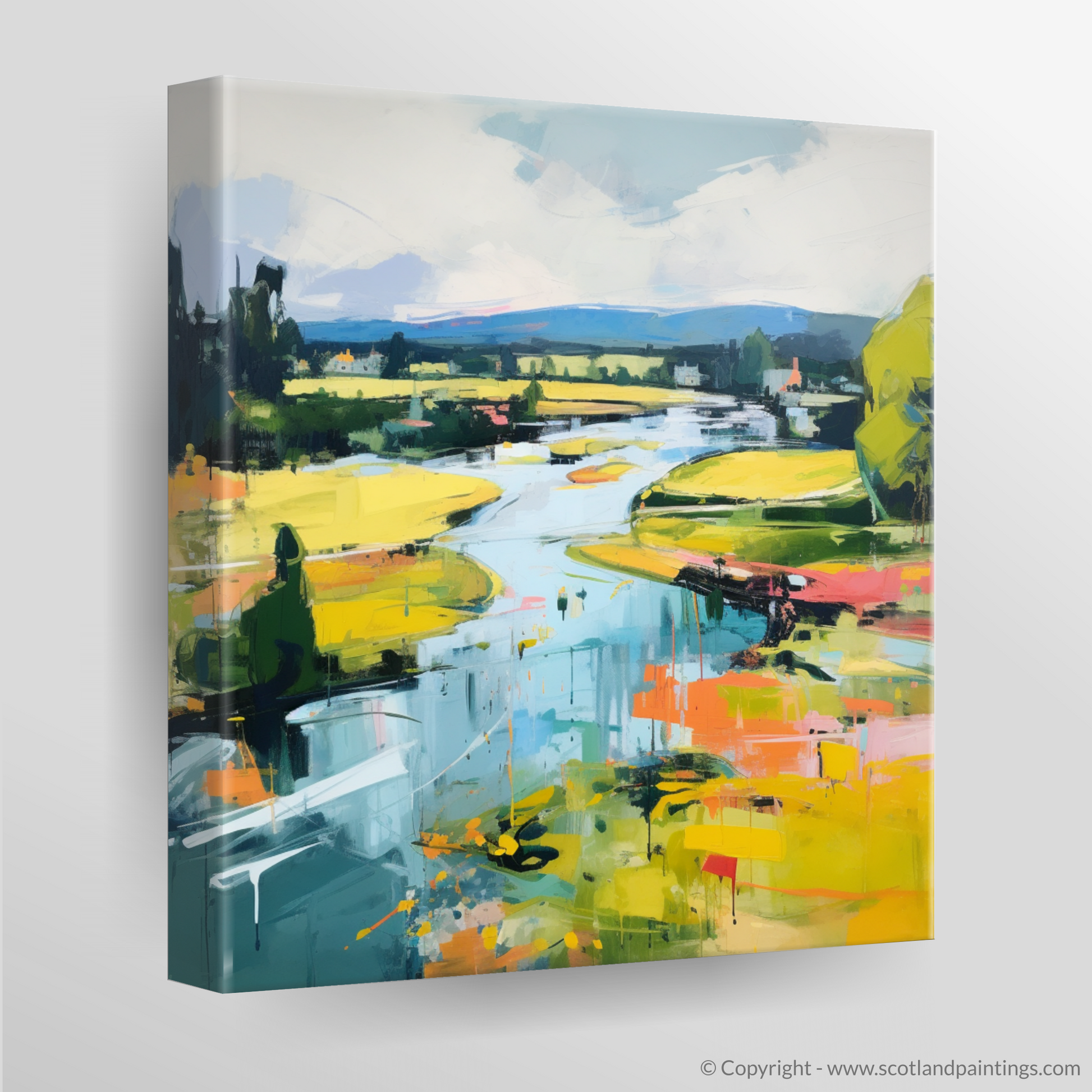 Canvas Print of River Tay, Perthshire in summer