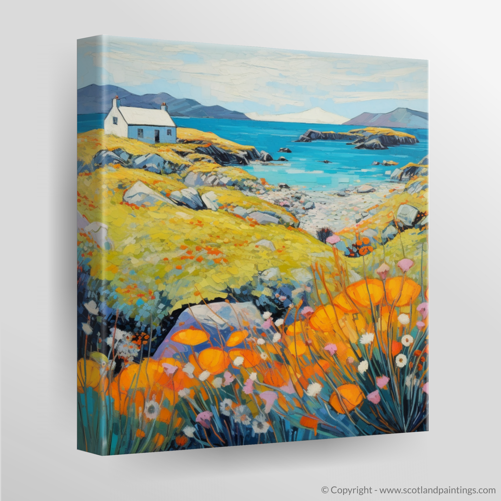 Canvas Print of Isle of Scalpay, Outer Hebrides in summer