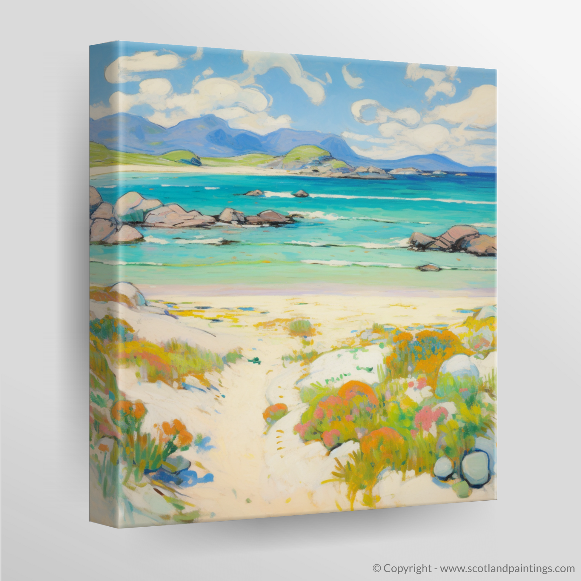 Canvas Print of Mellon Udrigle Beach, Wester Ross in summer