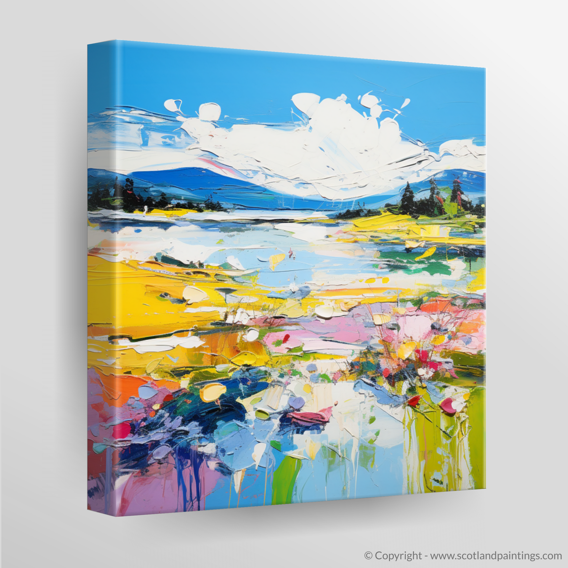 Canvas Print of Loch Doon, Ayrshire in summer