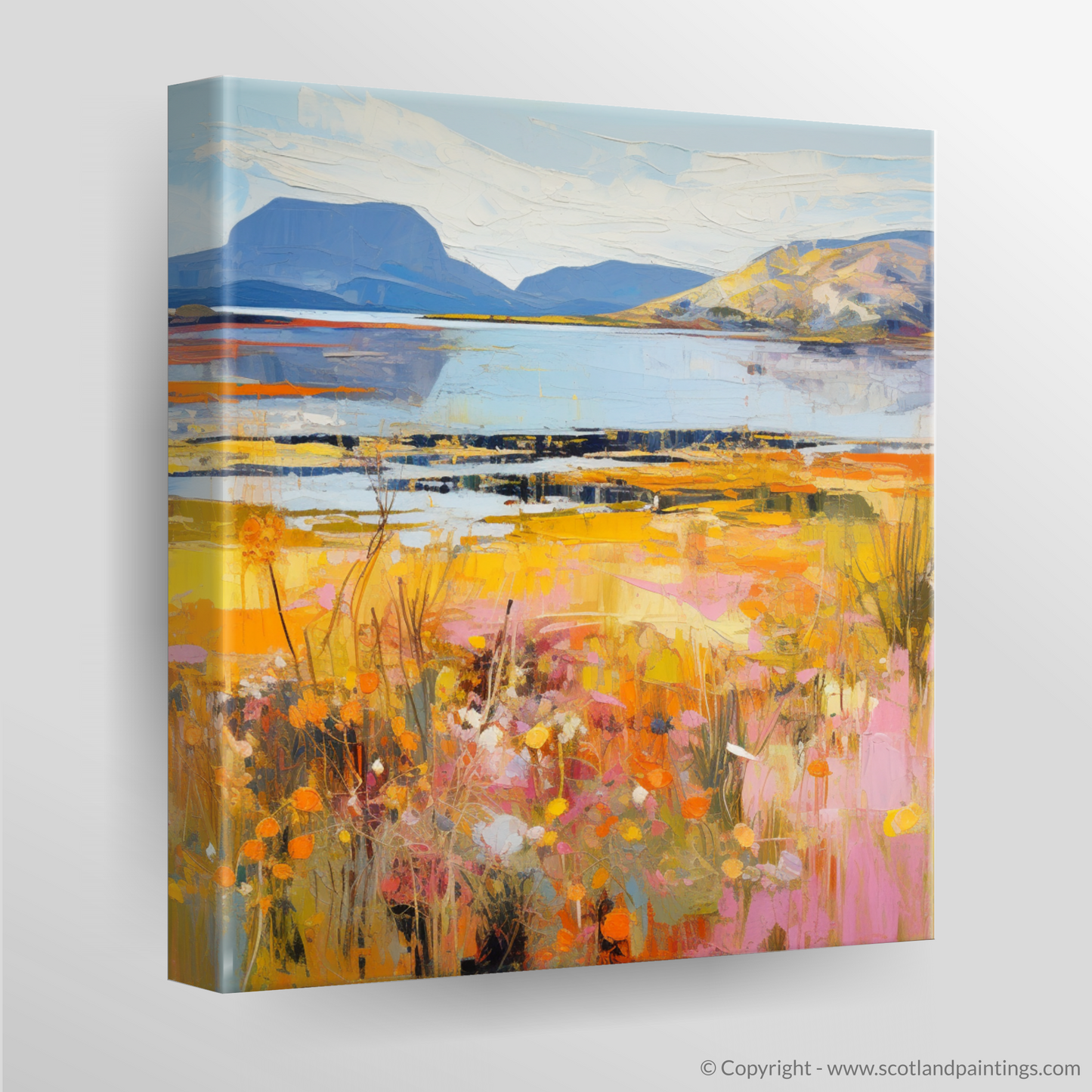 Canvas Print of Isle of Raasay, Inner Hebrides in summer