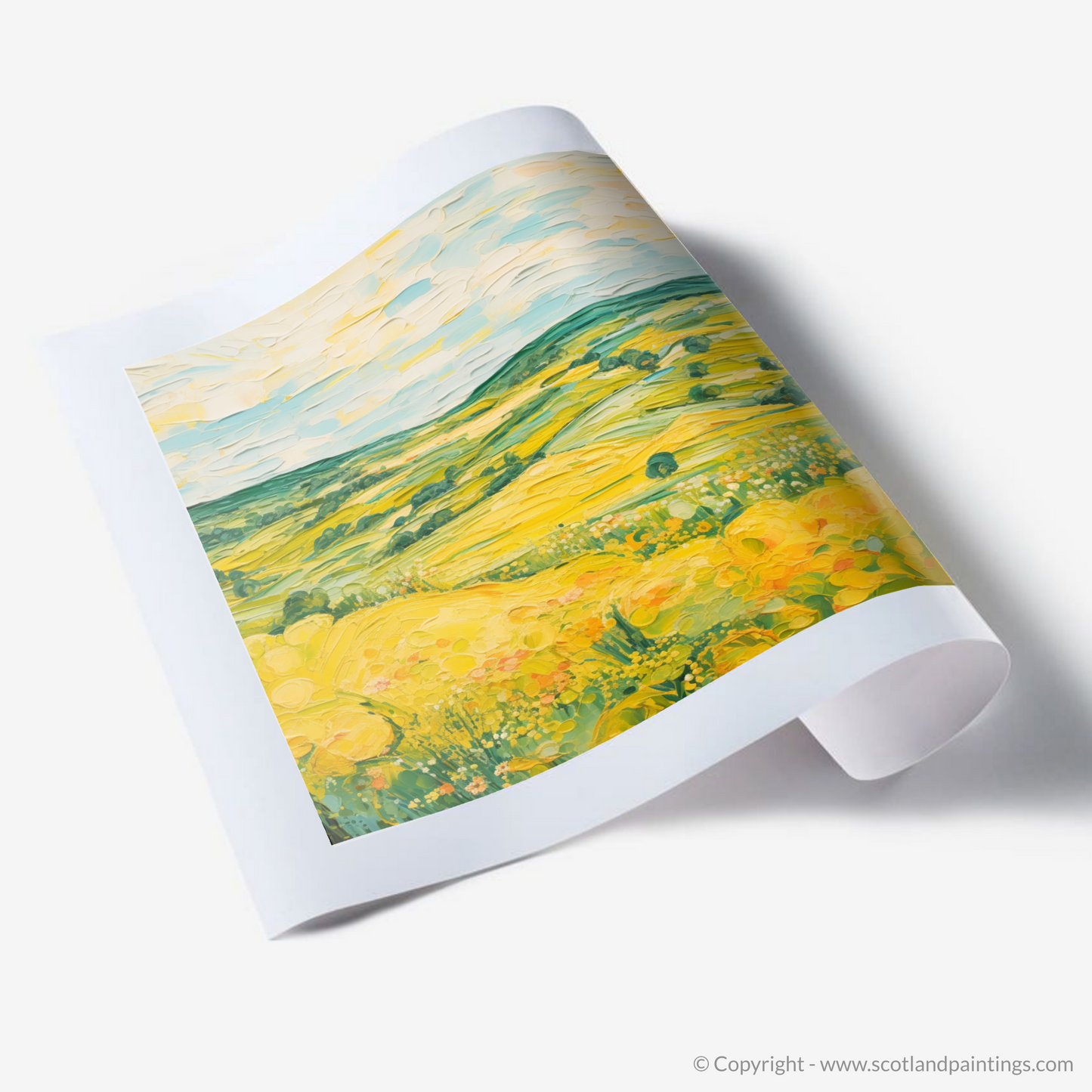 Art Print of Glenesk, Angus in summer