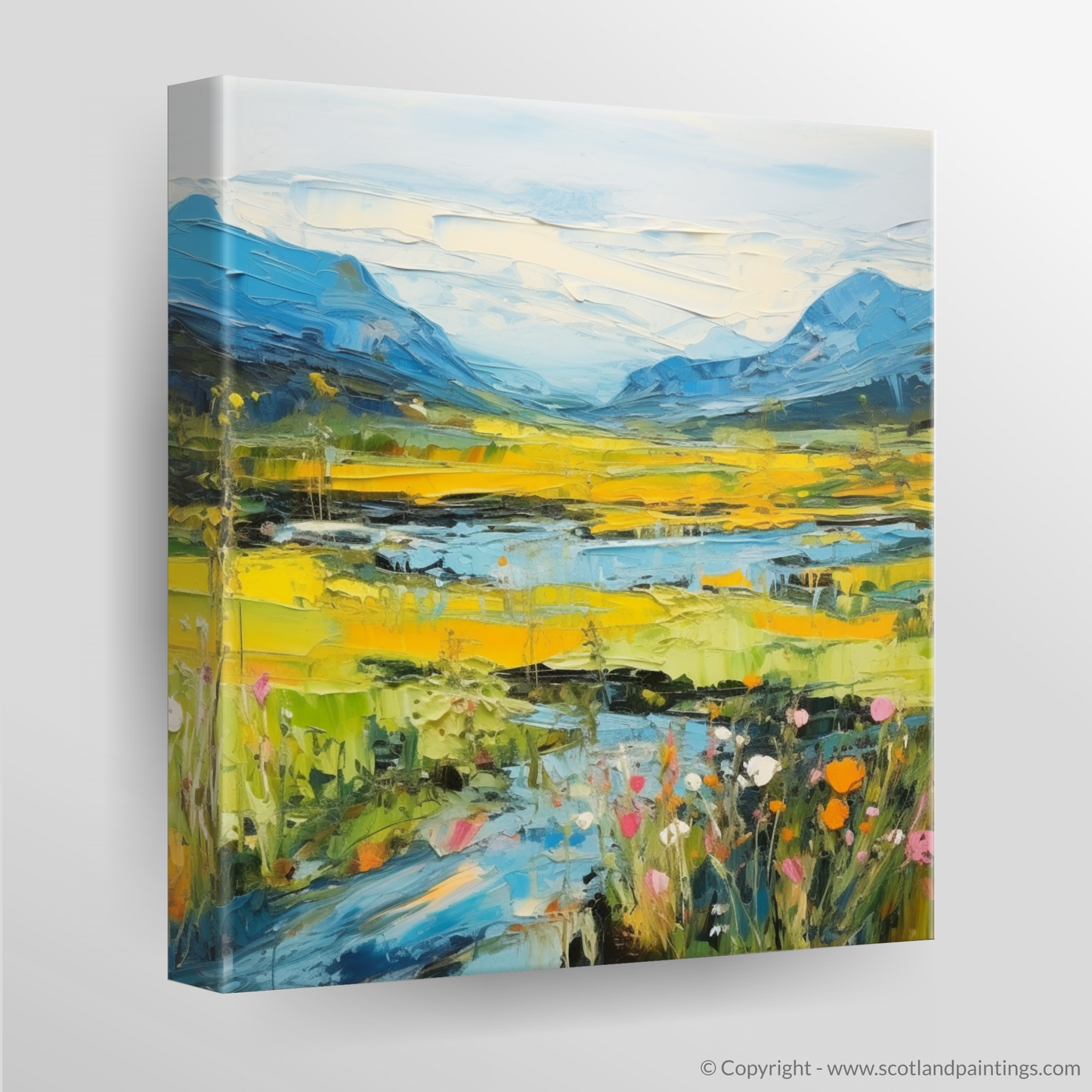 Canvas Print of Glen Sannox, Isle of Arran in summer