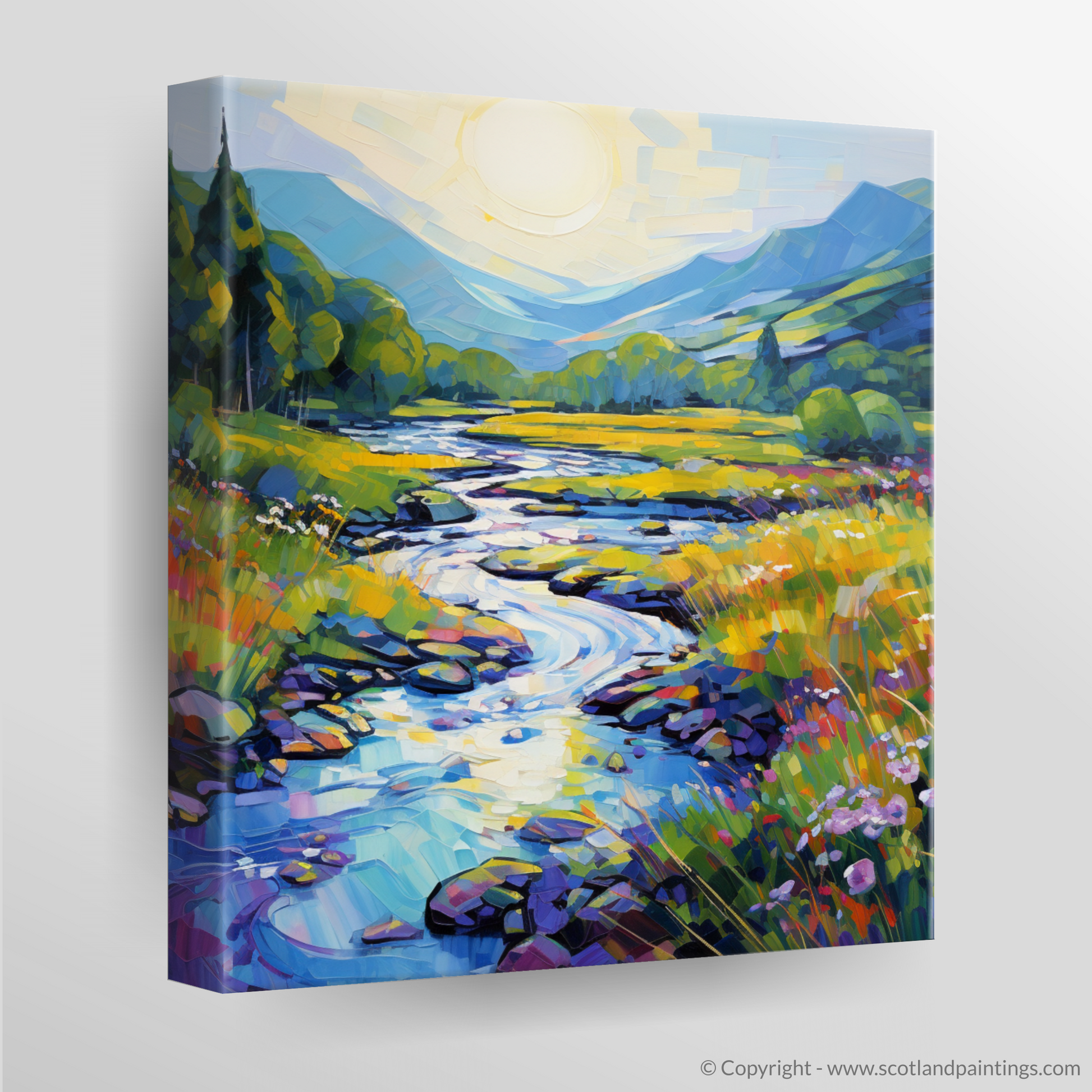 Canvas Print of River Orchy, Argyll and Bute in summer