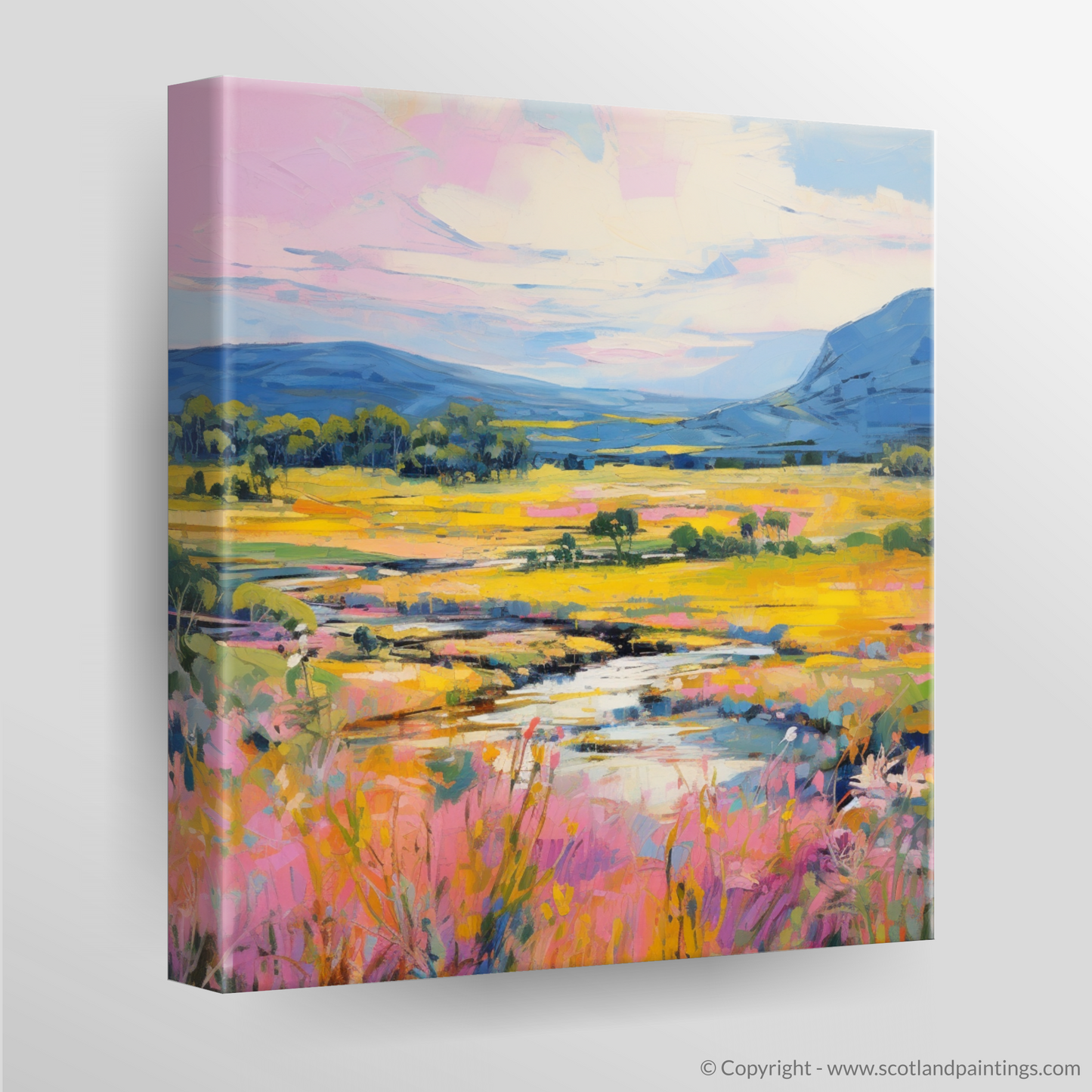 Canvas Print of Glen Tanar, Aberdeenshire in summer