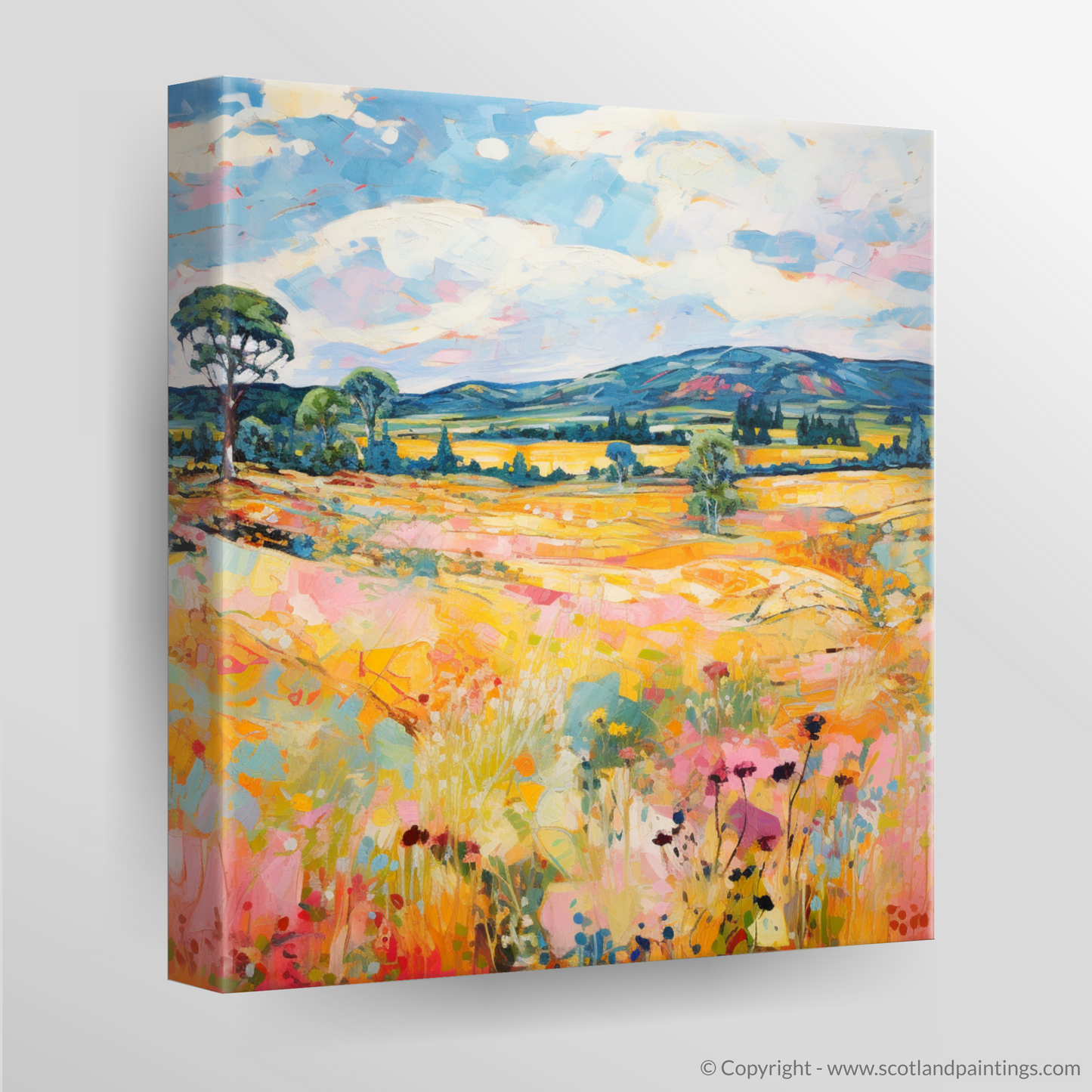 Canvas Print of Glen Tanar, Aberdeenshire in summer