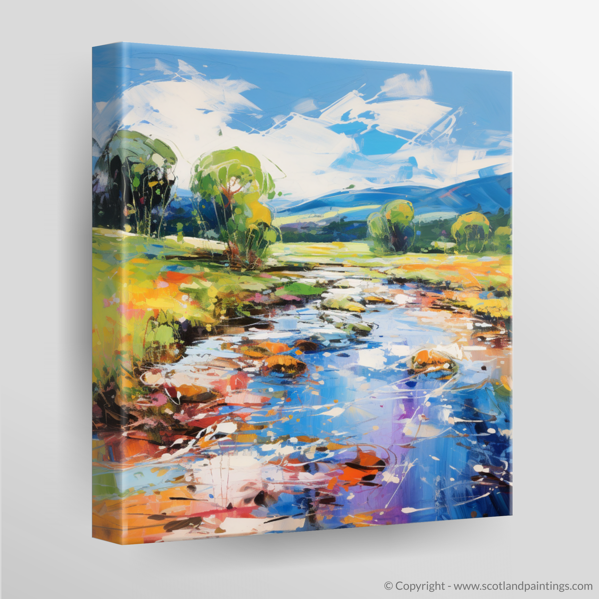 Canvas Print of River Carron, Ross-shire in summer