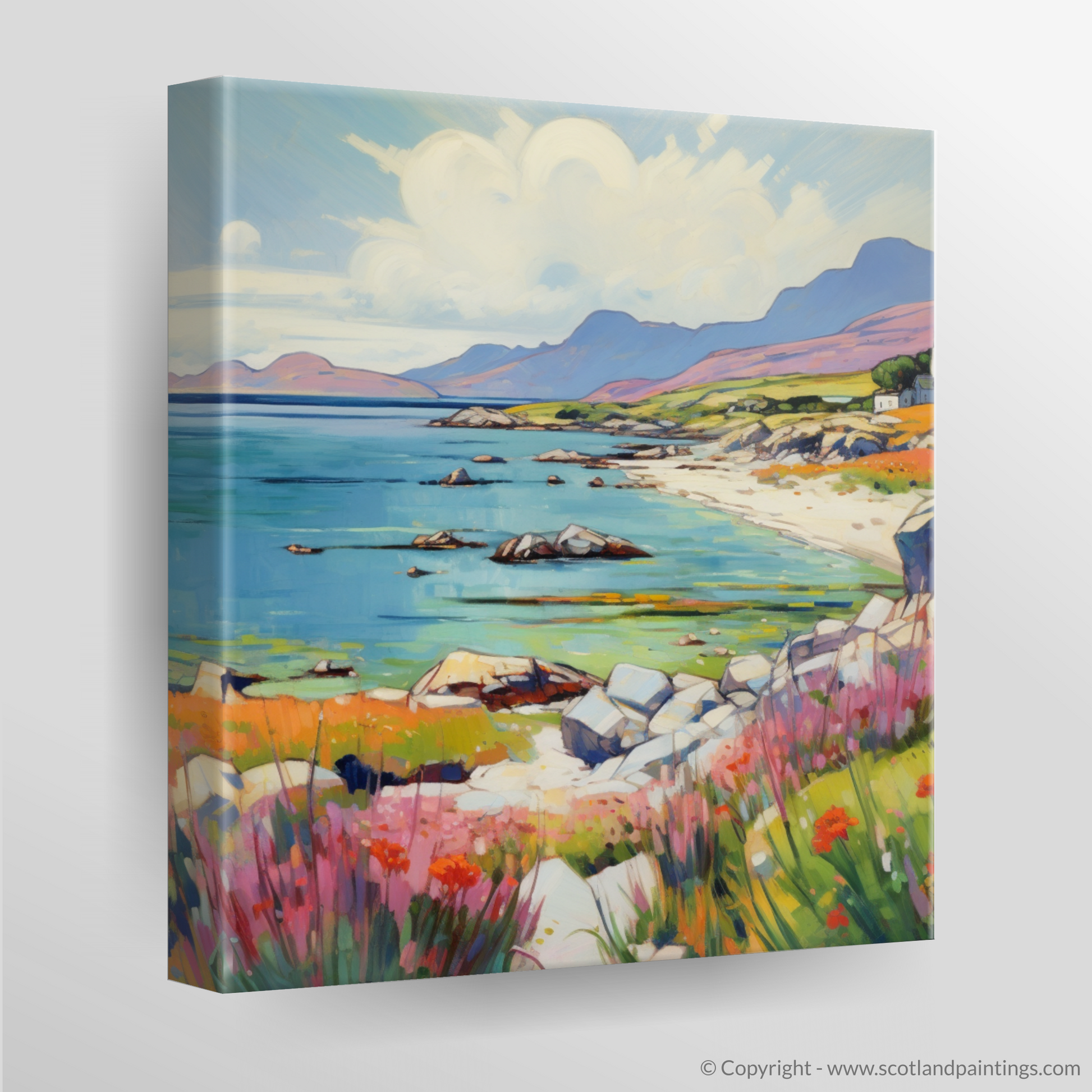 Canvas Print of Isle of Mull, Inner Hebrides in summer