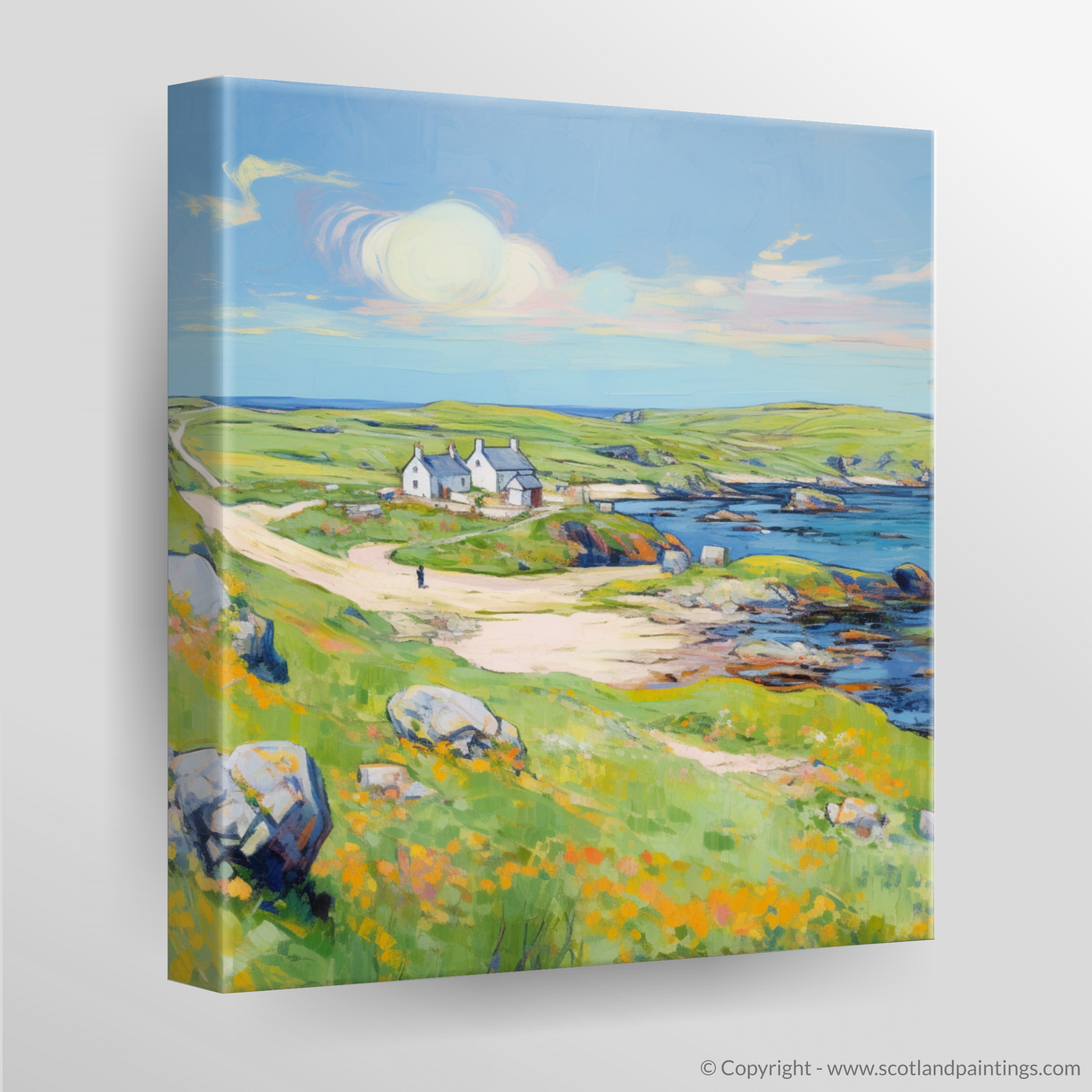 Canvas Print of Isle of Lewis, Outer Hebrides in summer