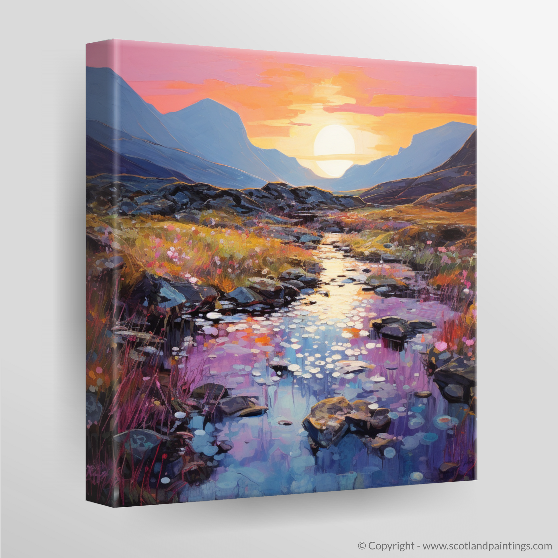 Canvas Print of Isle of Skye Fairy Pools at dusk in summer