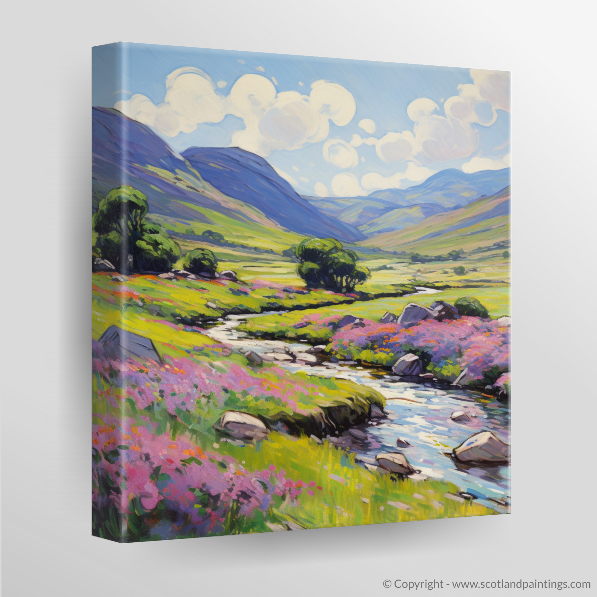 Canvas Print of Glen Doll, Angus in summer