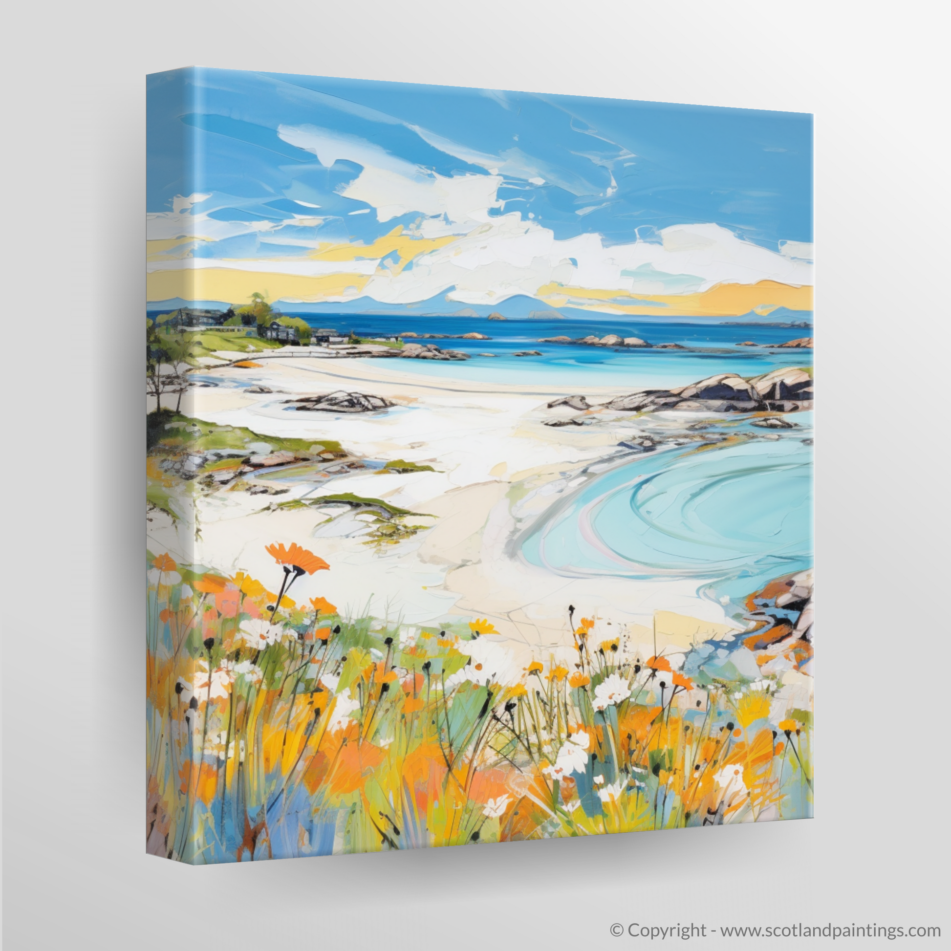 Canvas Print of Arisaig Beach, Arisaig in summer