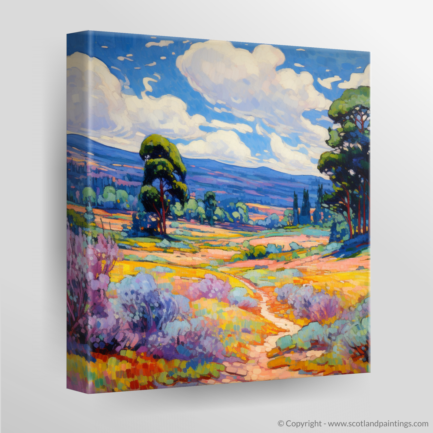 Canvas Print of Glen Tanar, Aberdeenshire in summer