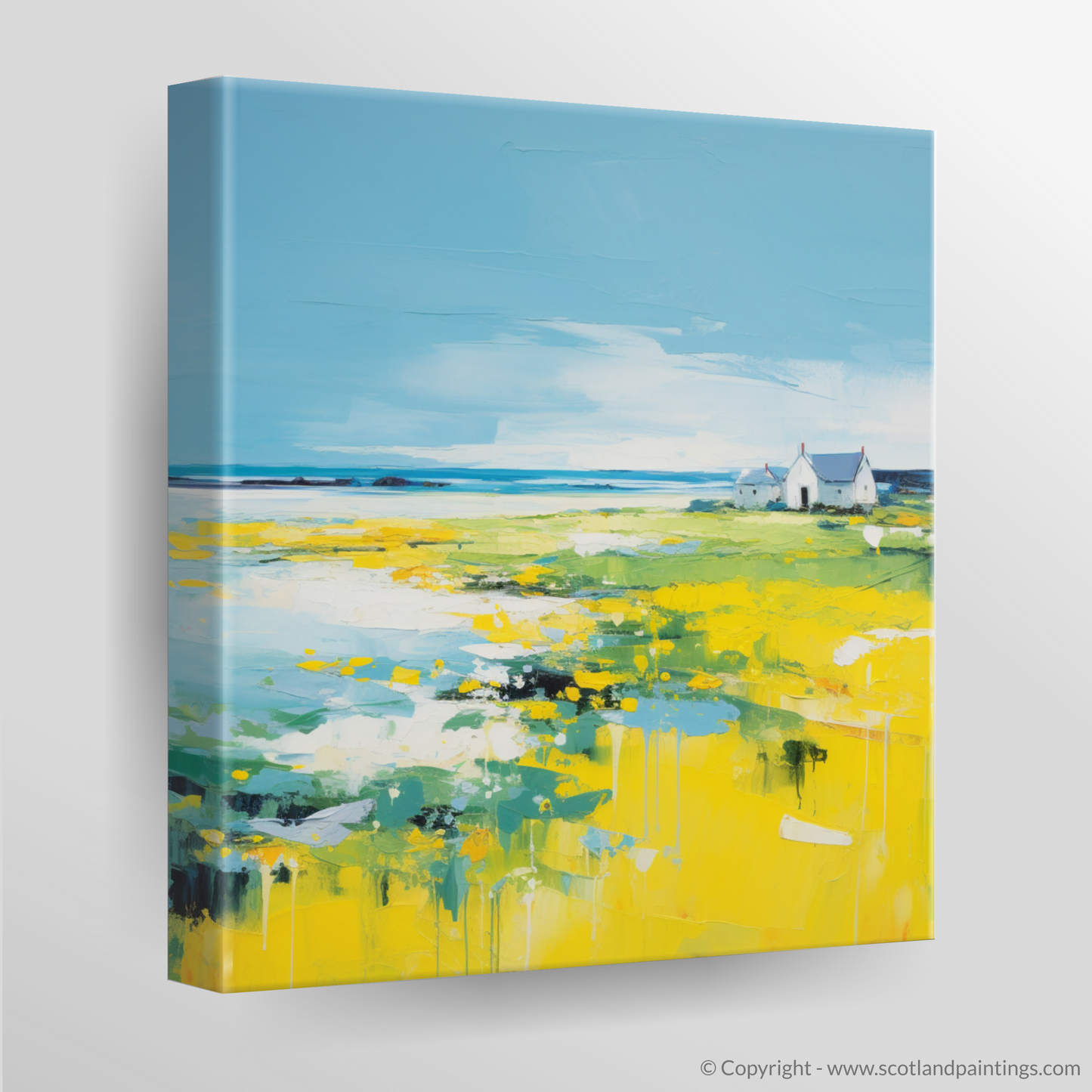 Canvas Print of Isle of Tiree, Inner Hebrides in summer