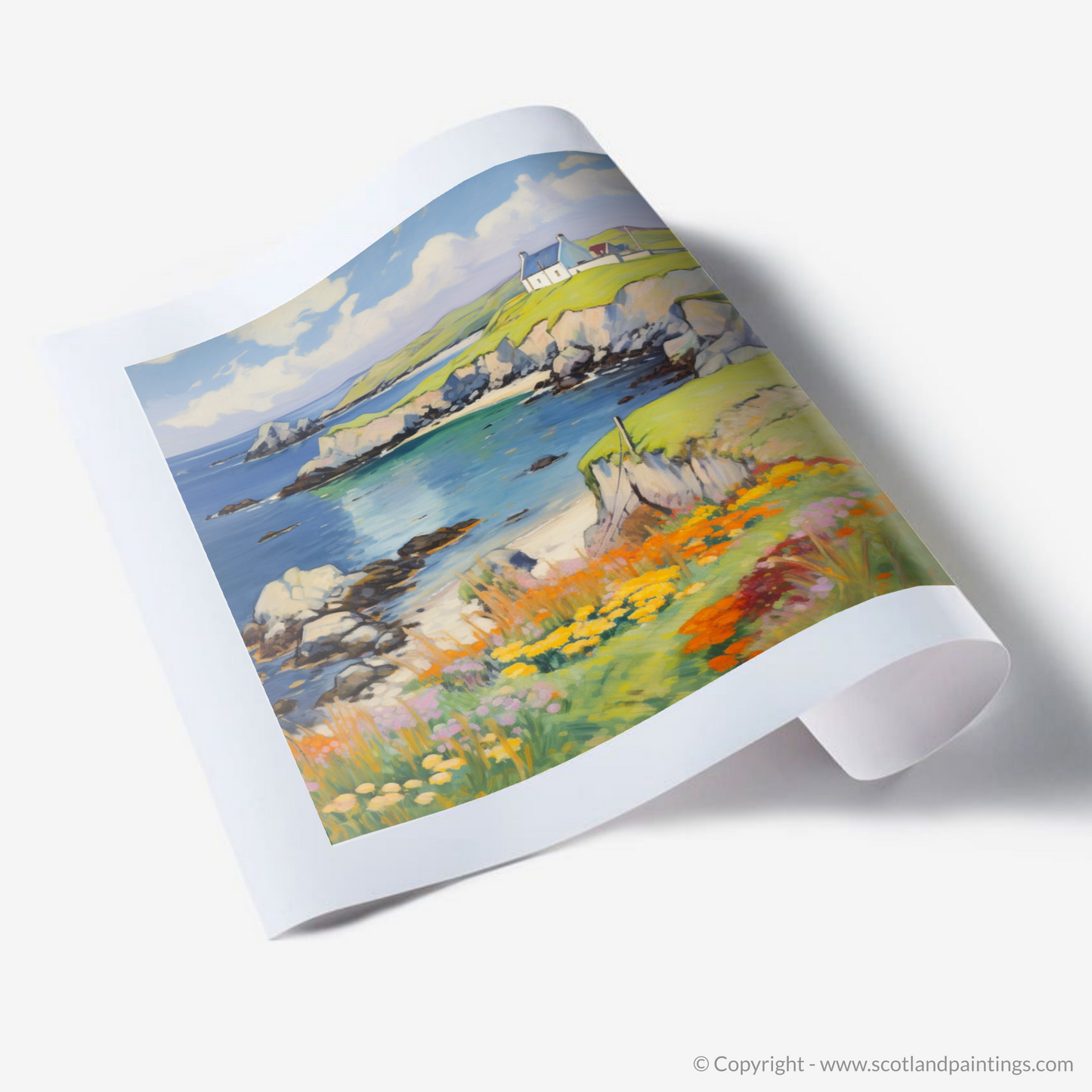 Art Print of Shetland, North of mainland Scotland in summer